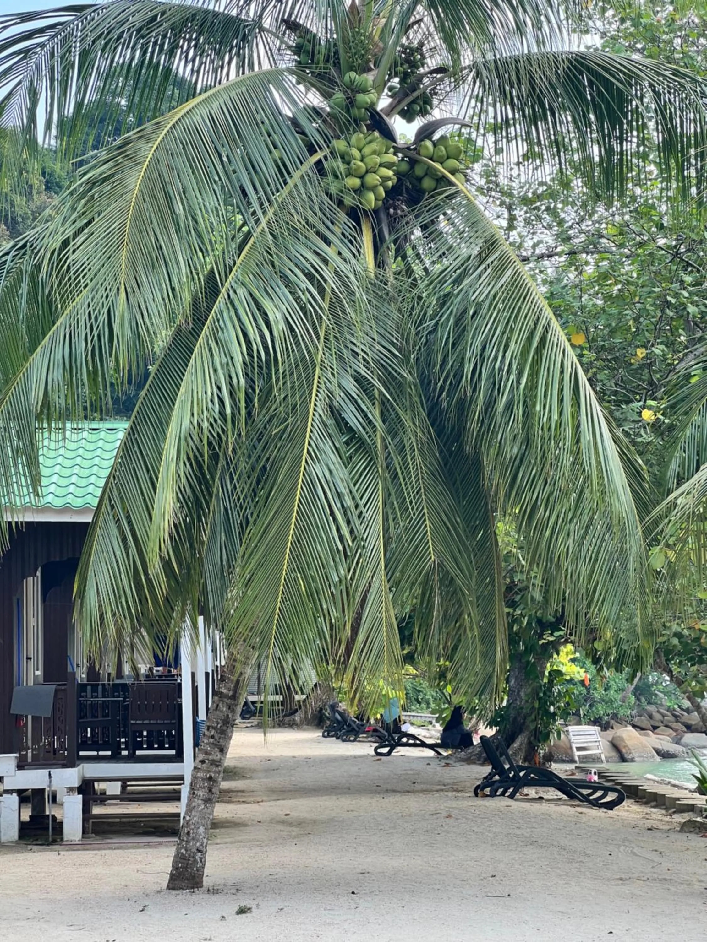 Mama's Chalet Pulau Perhentian Besar