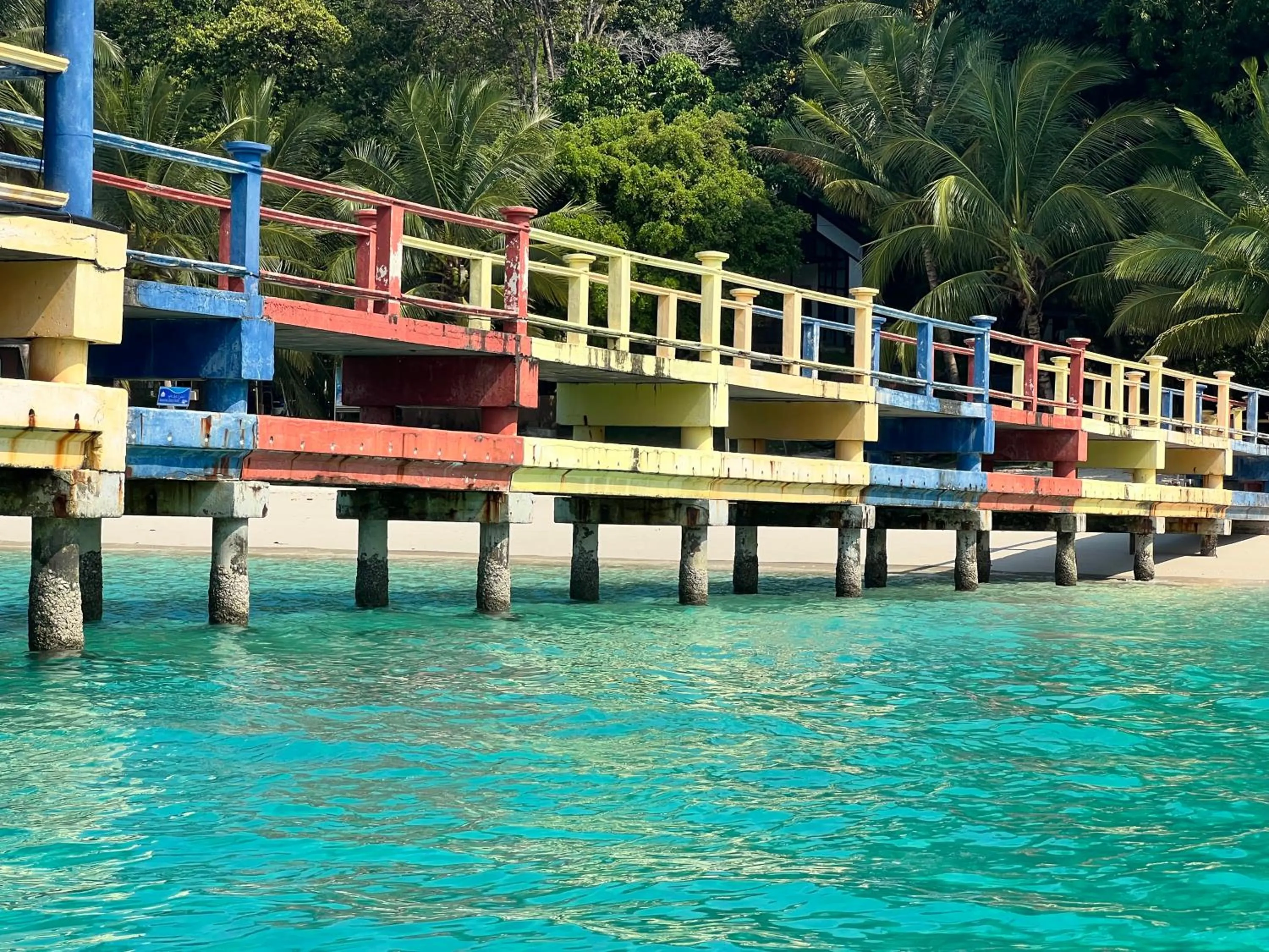 Snorkeling in Mama's Chalet Pulau Perhentian Besar