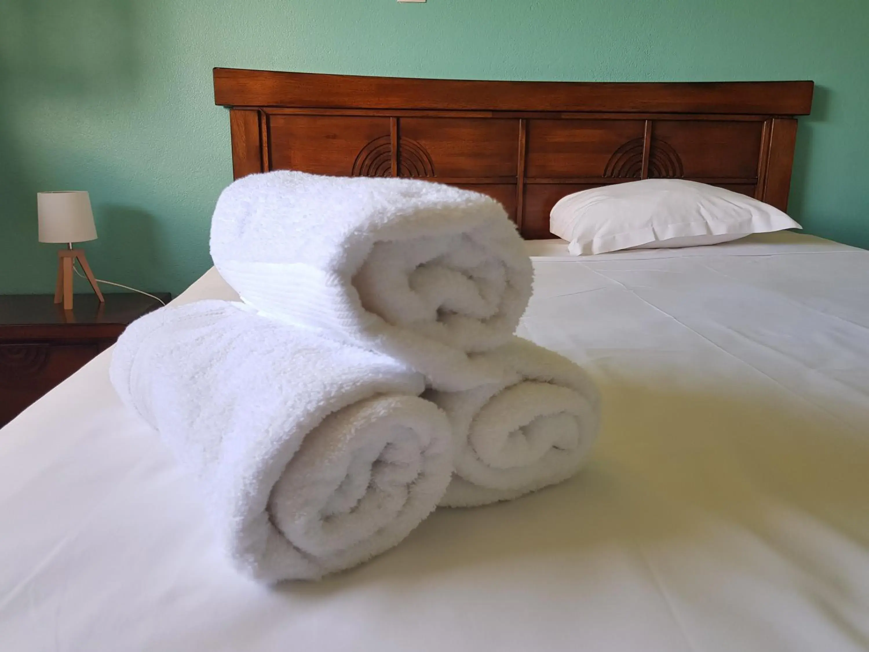 Double Room in Hotel La Marmotte Double Room in Hotel La Marmotte