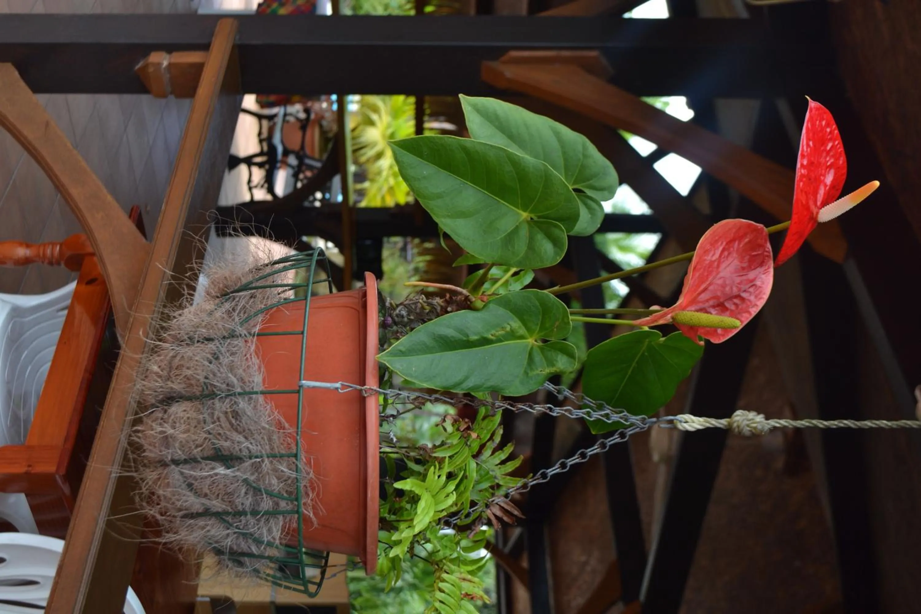 Patio in Hotel La Marmotte