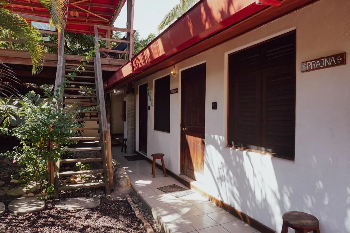 Property building in Pacific Buddha