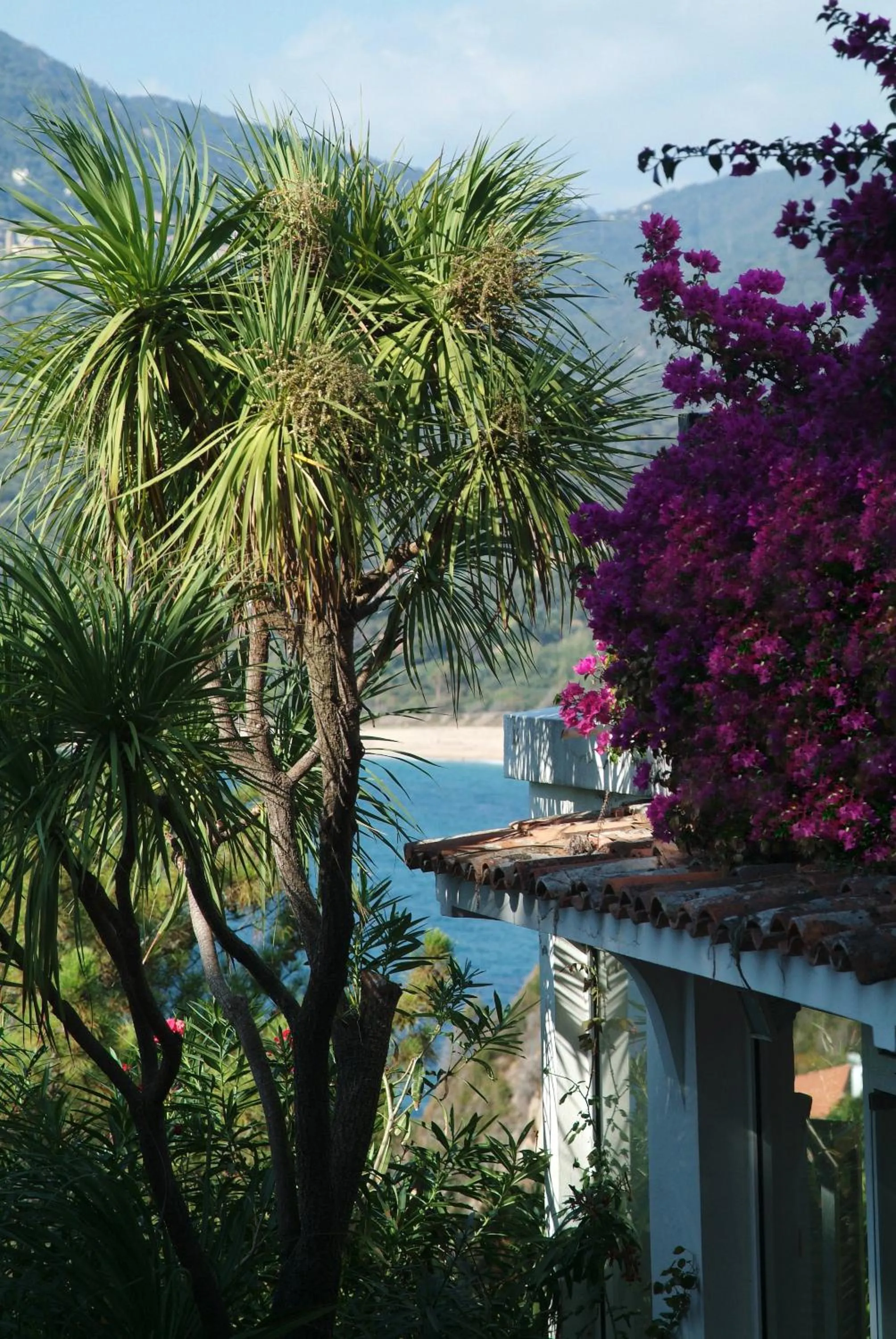 A'mare Corsica I Seaside Small Resort