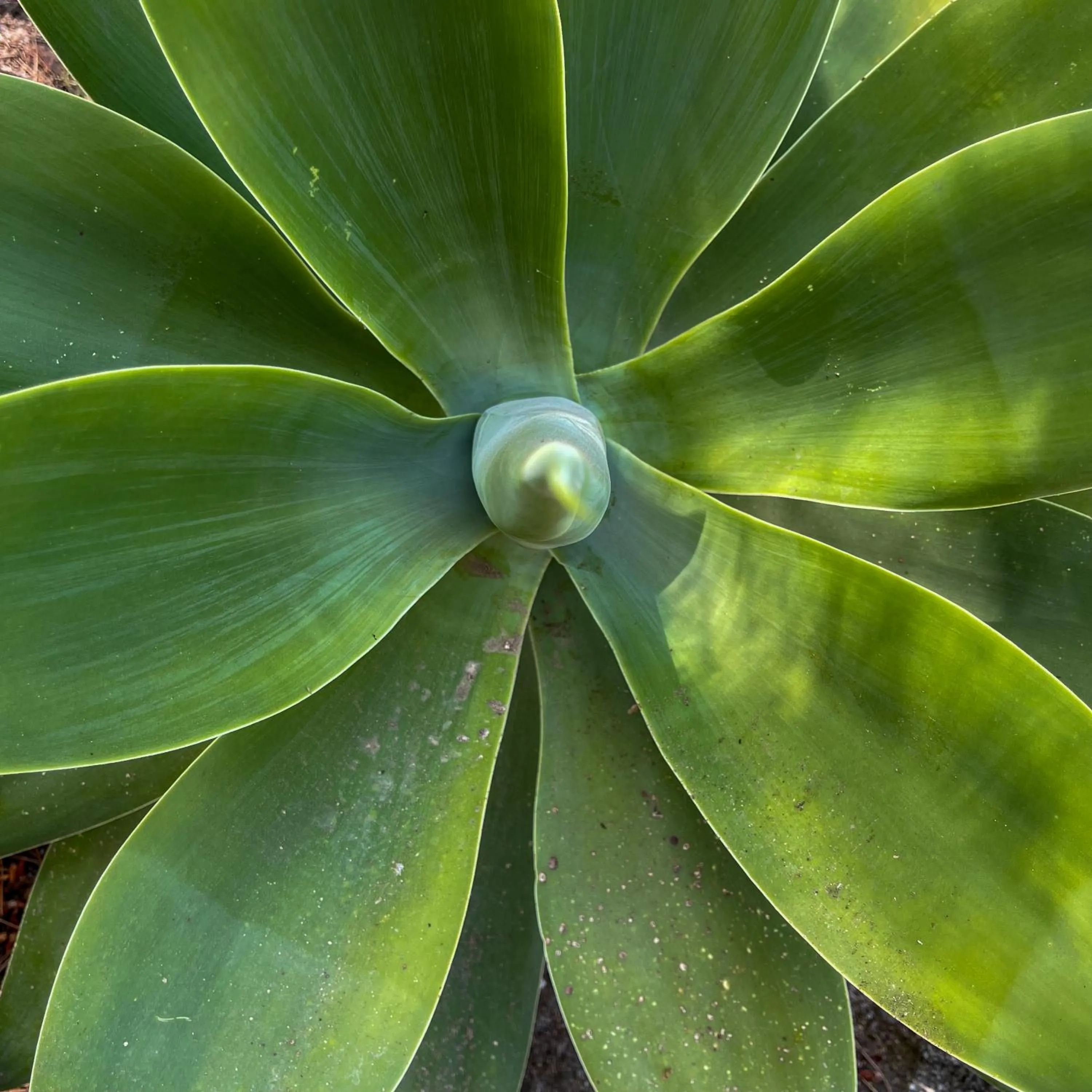 A'mare Corsica I Seaside Small Resort