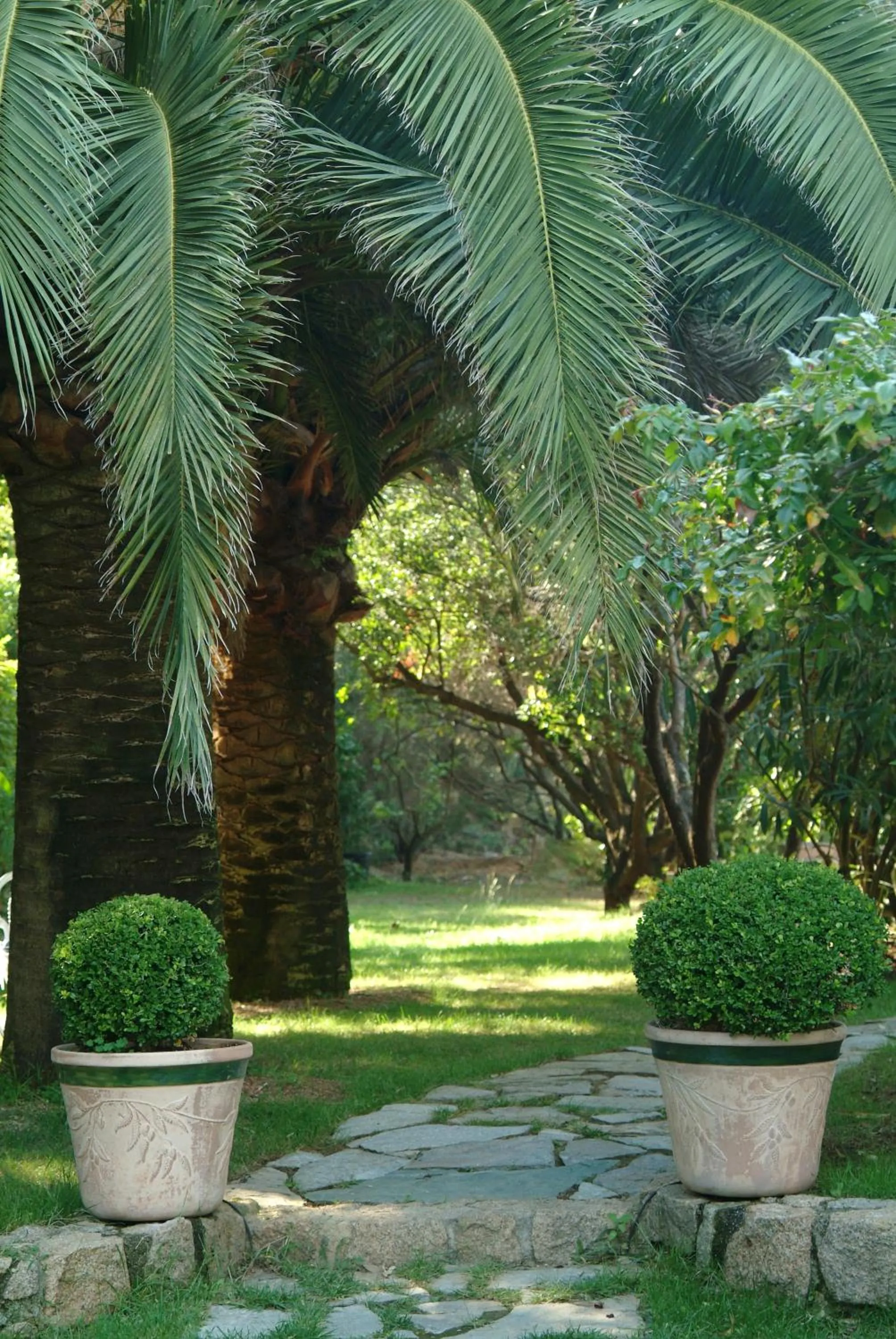 A'mare Corsica I Seaside Small Resort