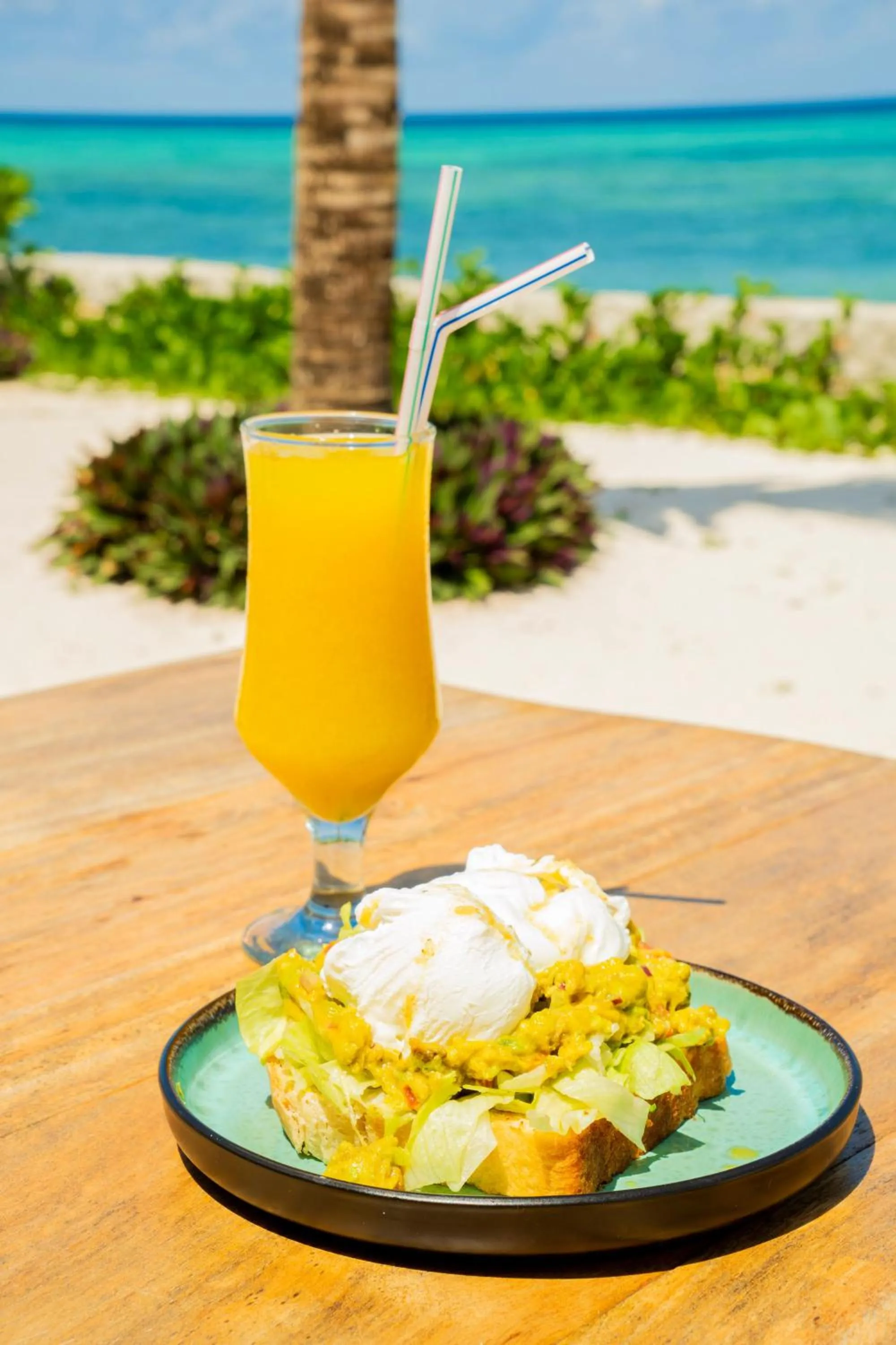 Natural landscape in Salida Beach Zanzibar