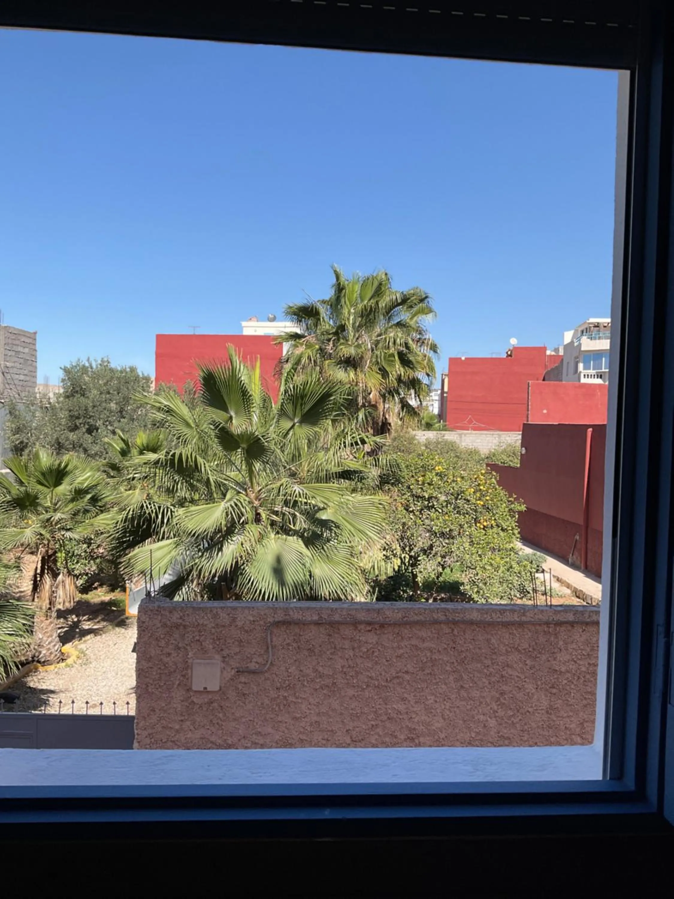 Garden view in Playa Del Sol Surf House