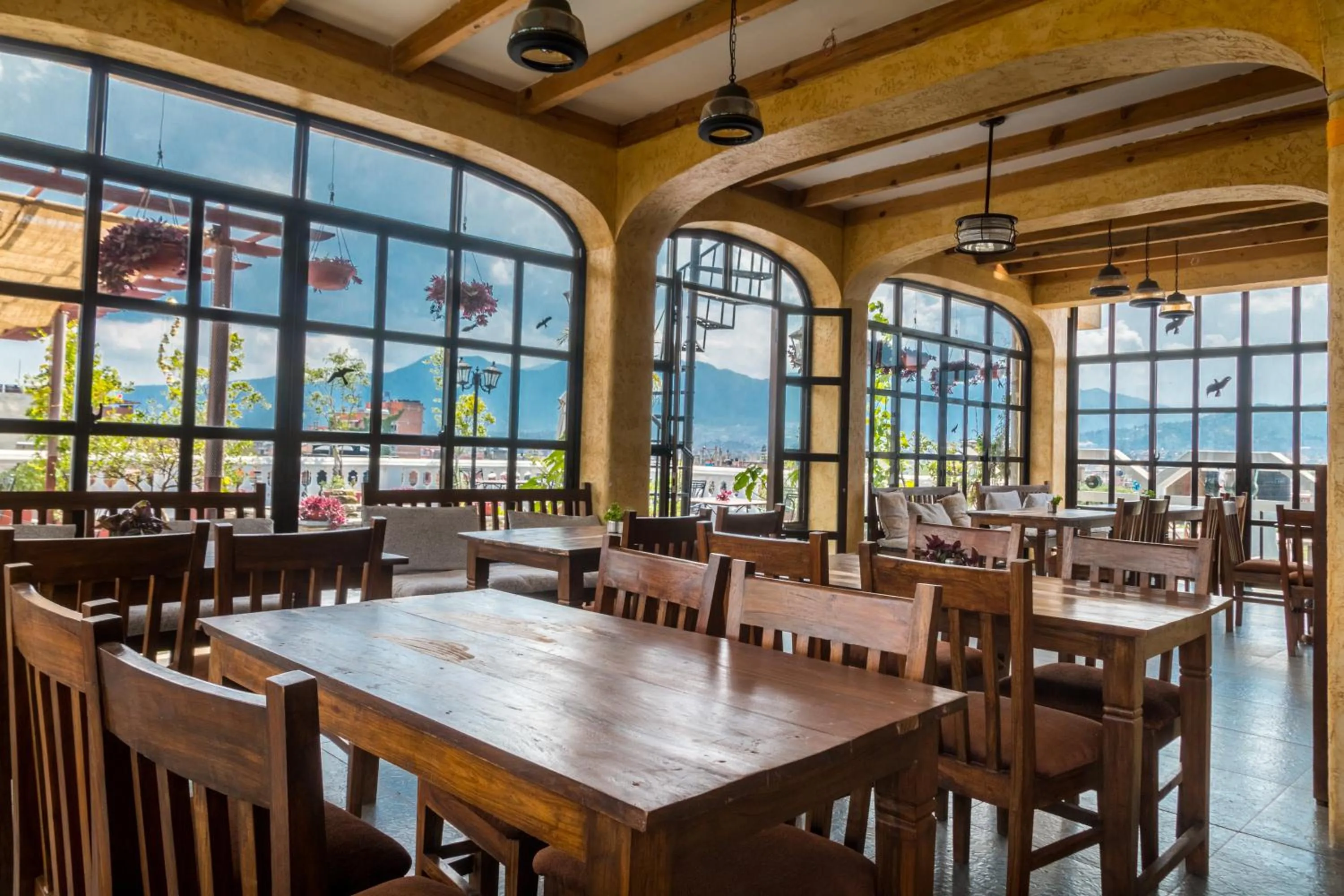 Garden in Hotel Excelsior