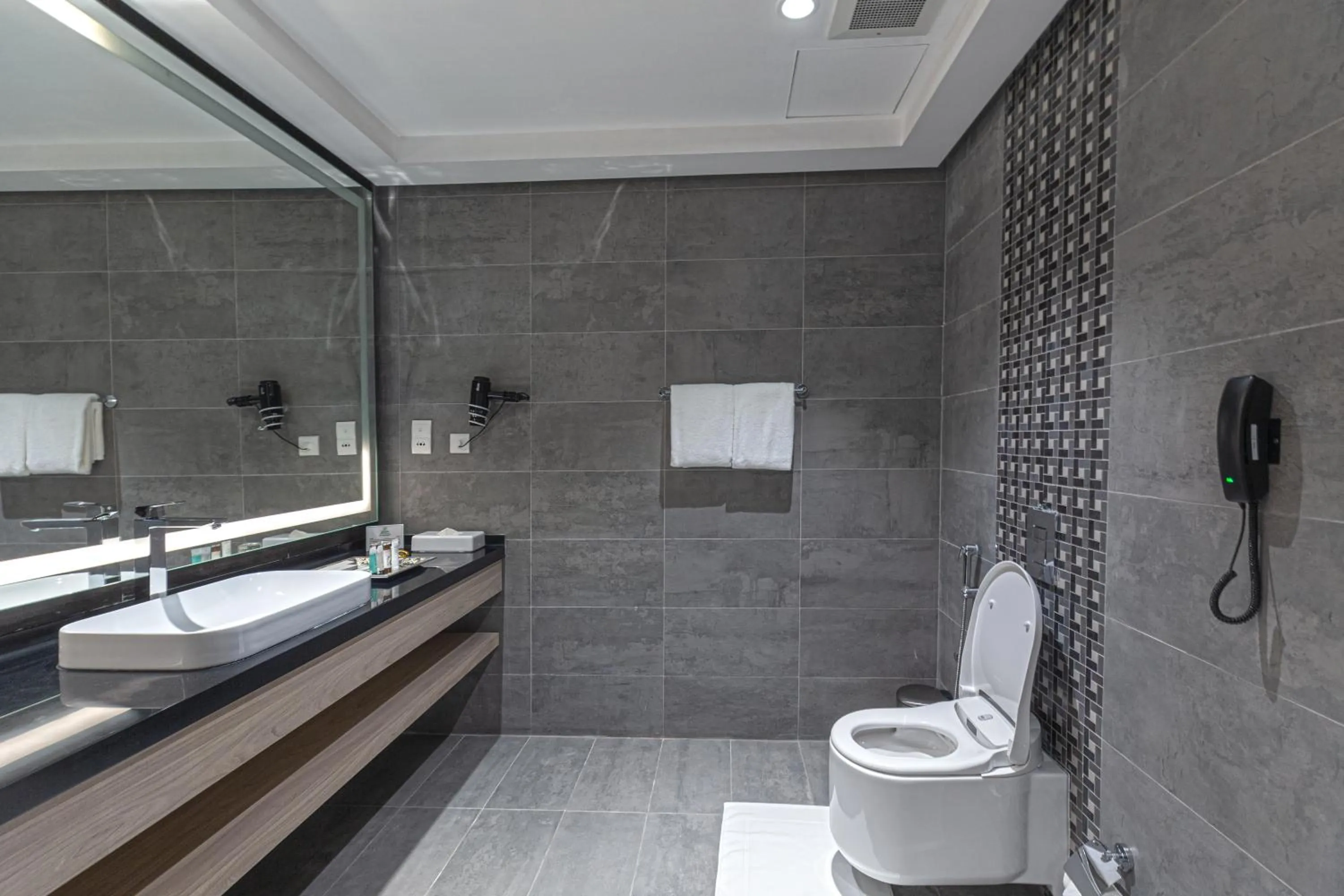 Bathroom in Green Park Hotel