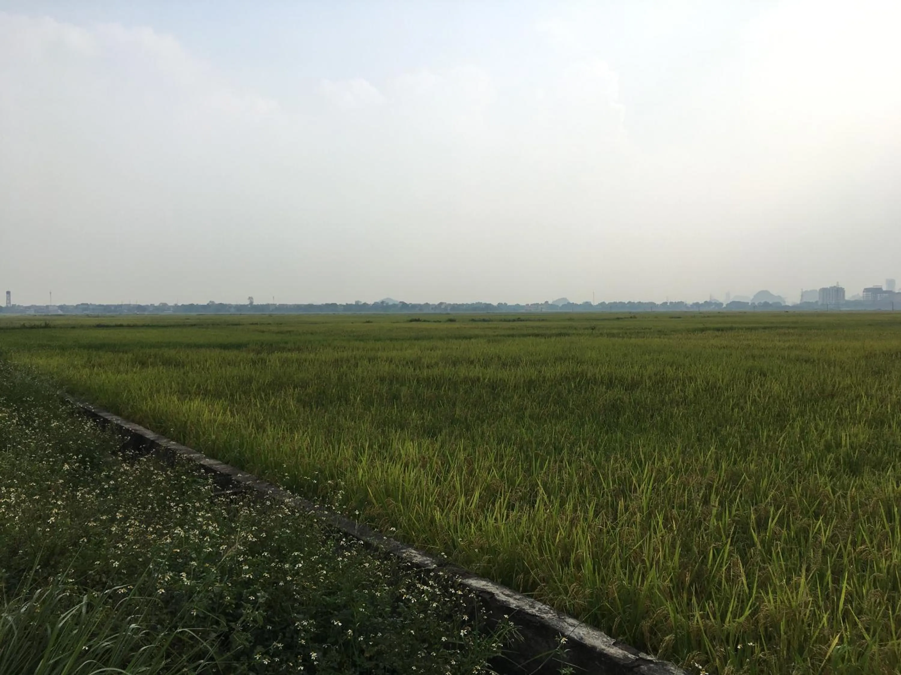 Off site in Limestone View Homestay