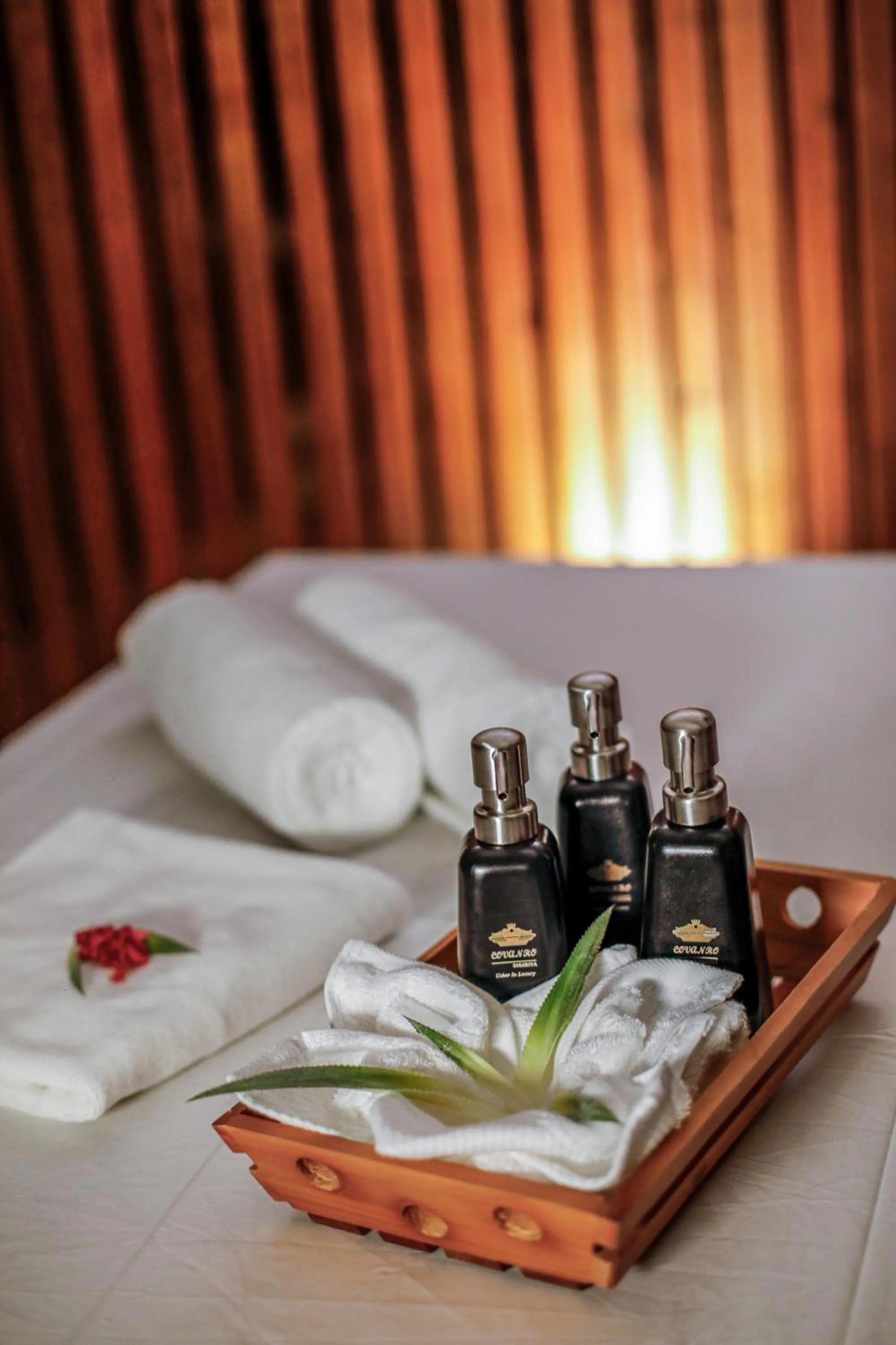 Covanro Sigiriya - Where Heritage Meets Luxury