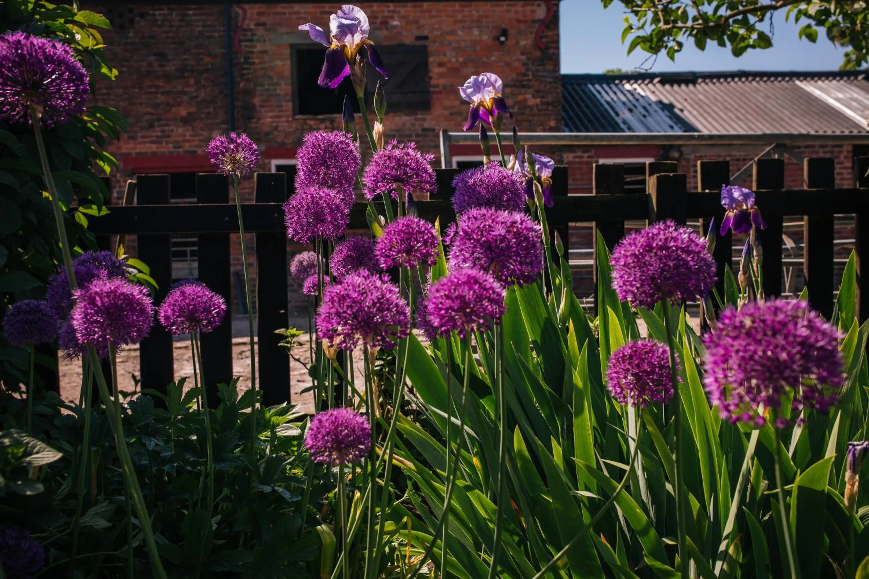 Garden in Yew Tree Farm
