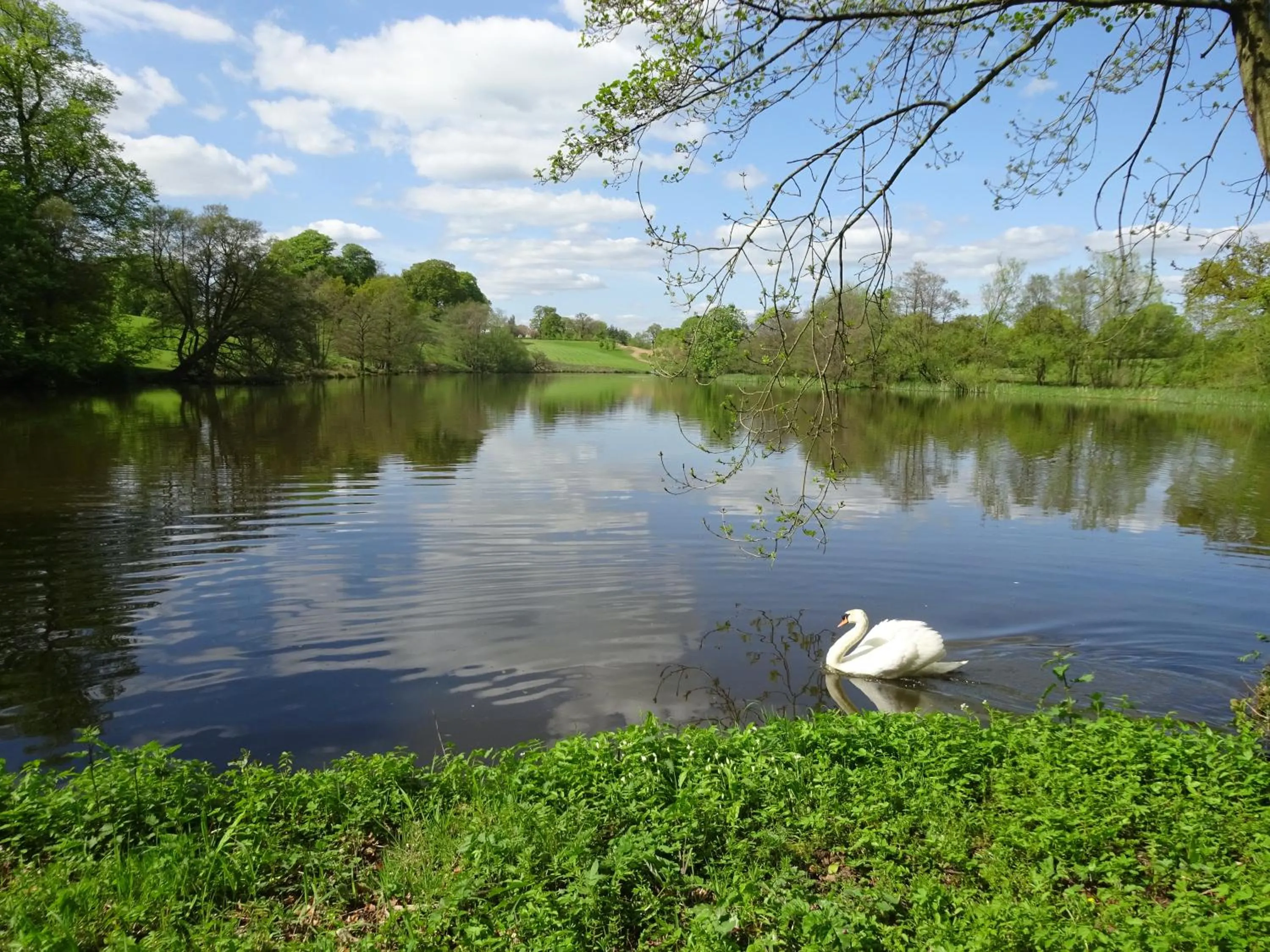 Natural landscape in Yew Tree Farm