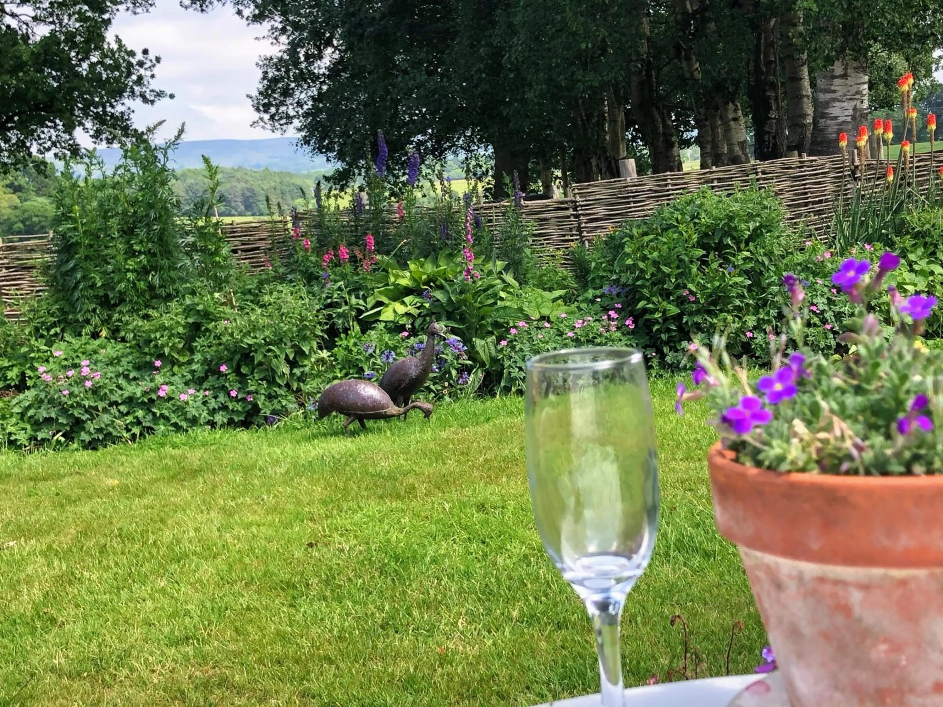 View (from property/room) in Yew Tree Farm