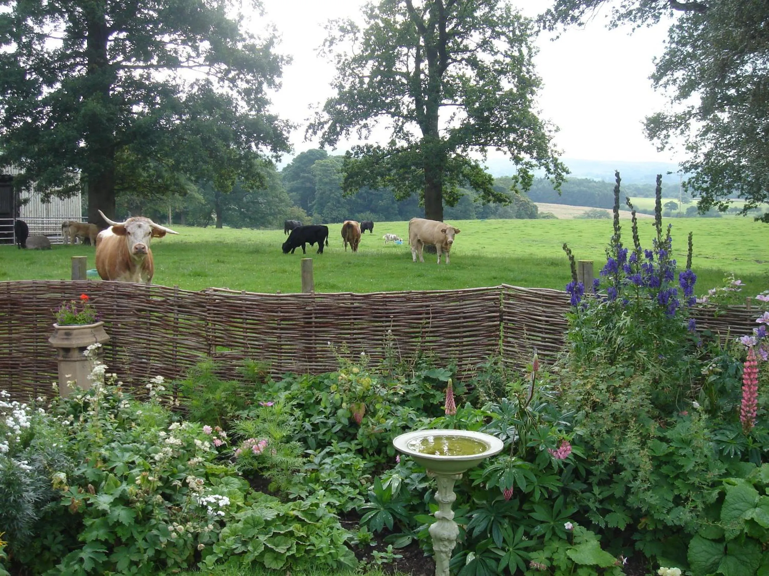Garden in Yew Tree Farm