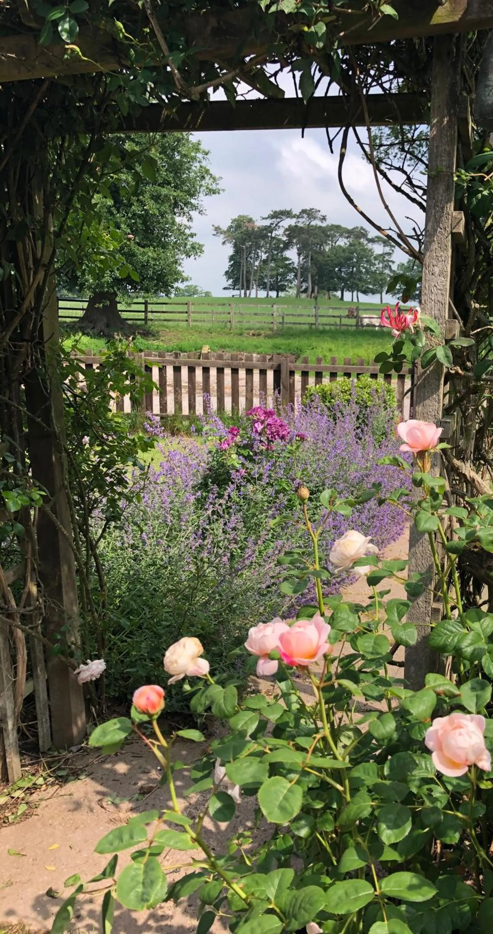 View (from property/room) in Yew Tree Farm