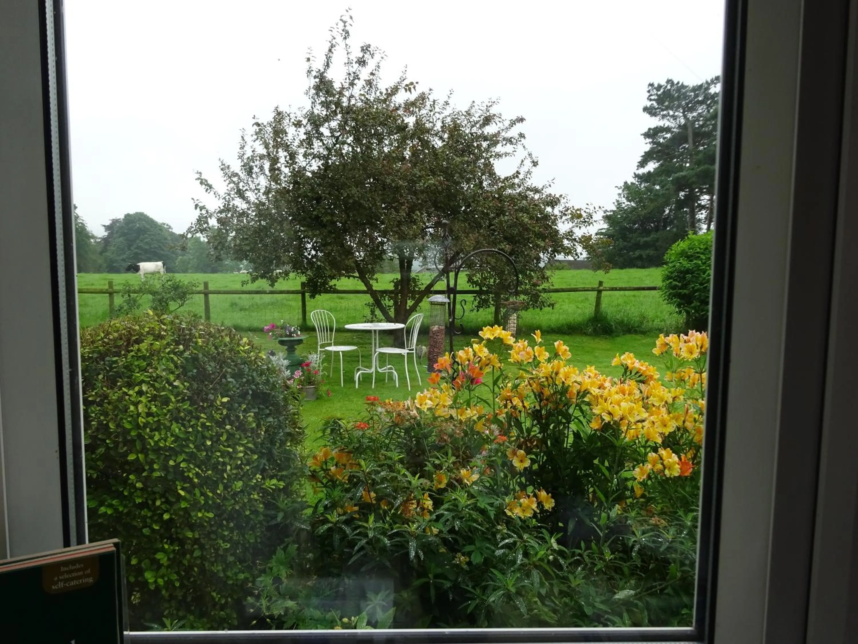 Summer in Yew Tree Farm