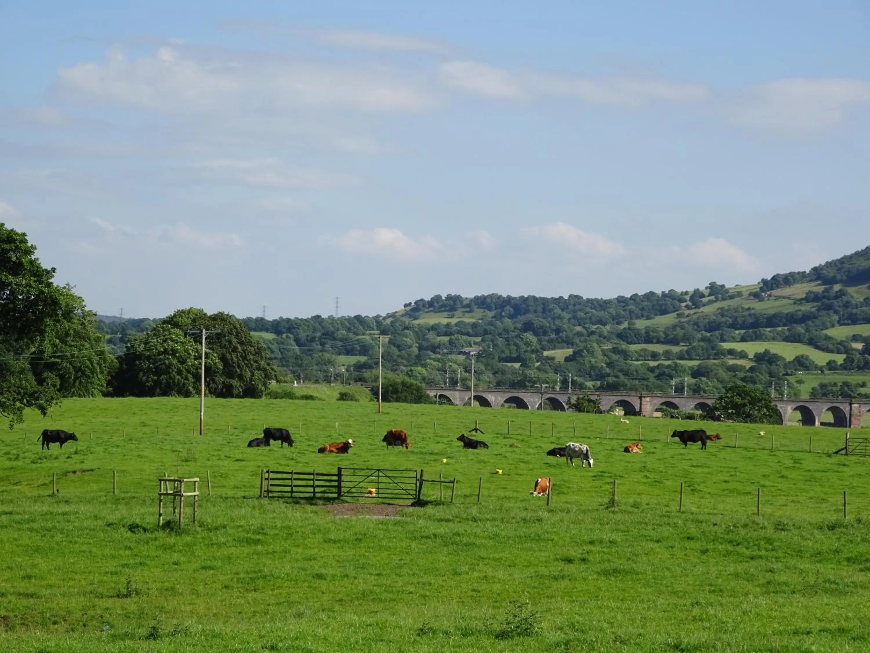 Natural landscape in Yew Tree Farm