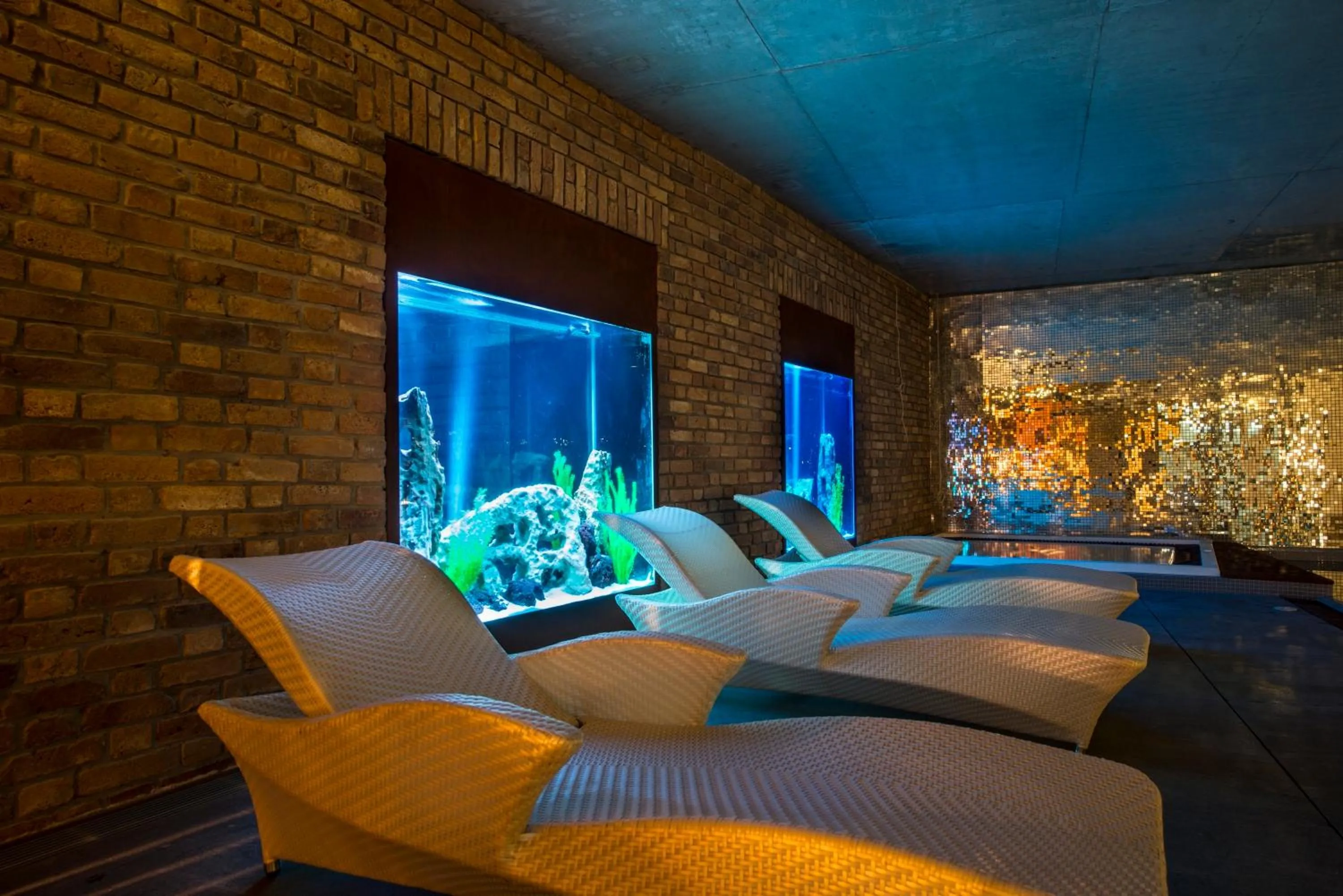 Spa and wellness centre/facilities in Hotel Alter