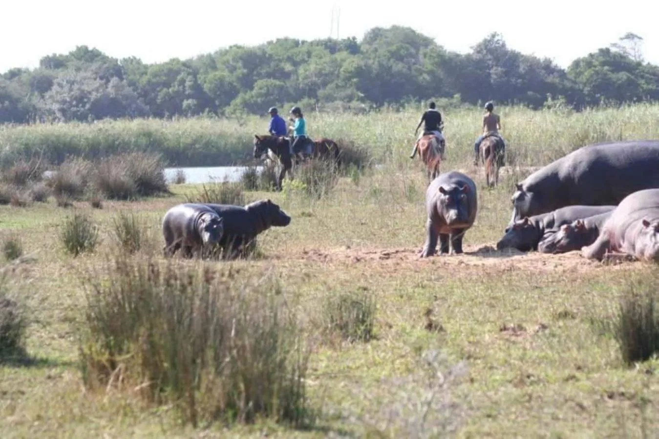 Horse-riding in Leopard Corner Lodge