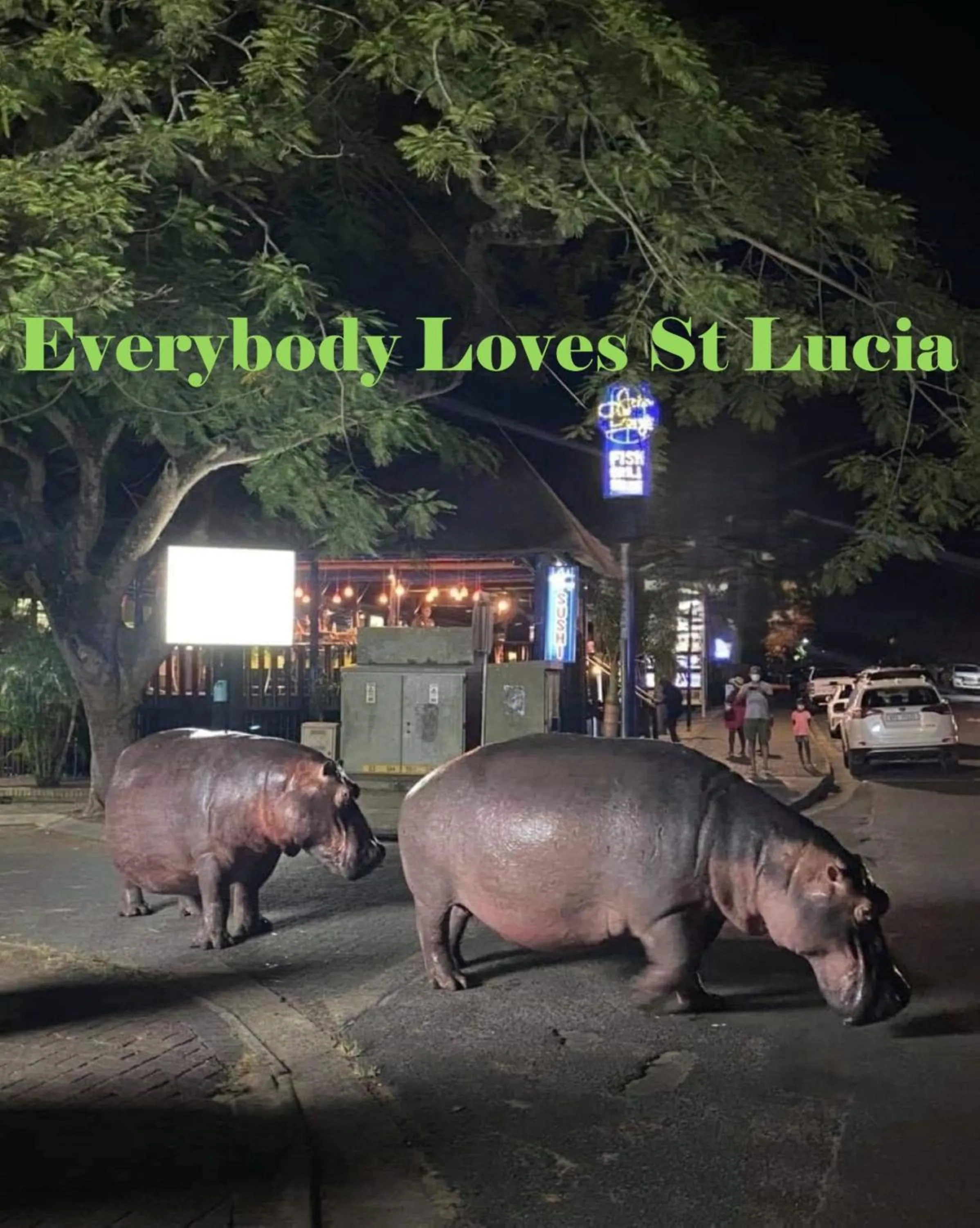 Animals in Leopard Corner Lodge