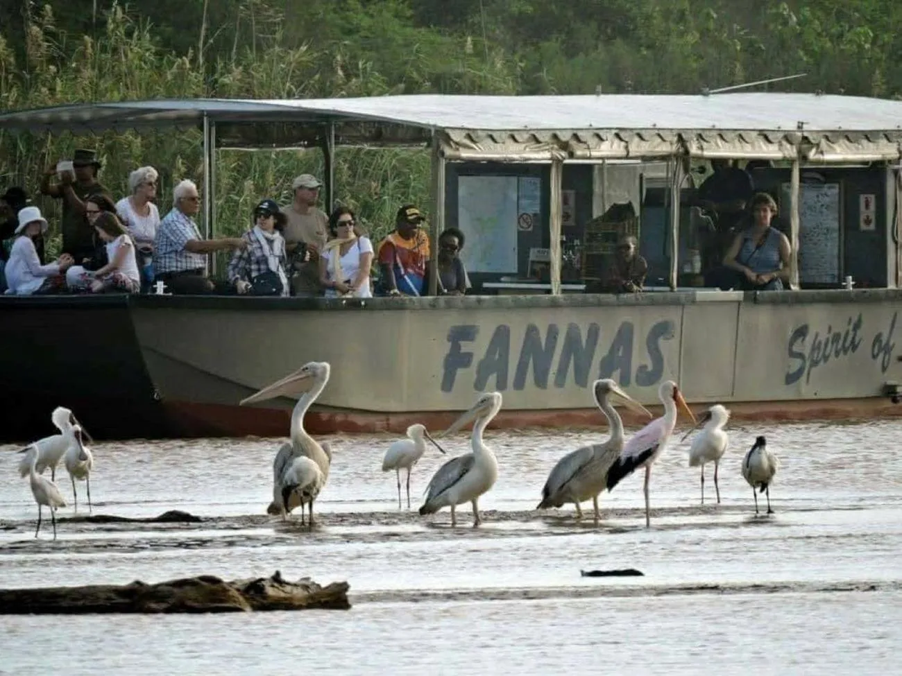 Day in Leopard Corner Lodge
