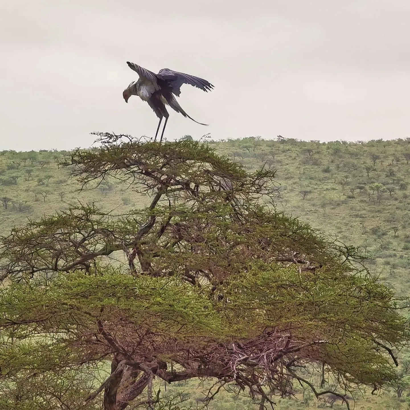 Activities in Leopard Corner Lodge
