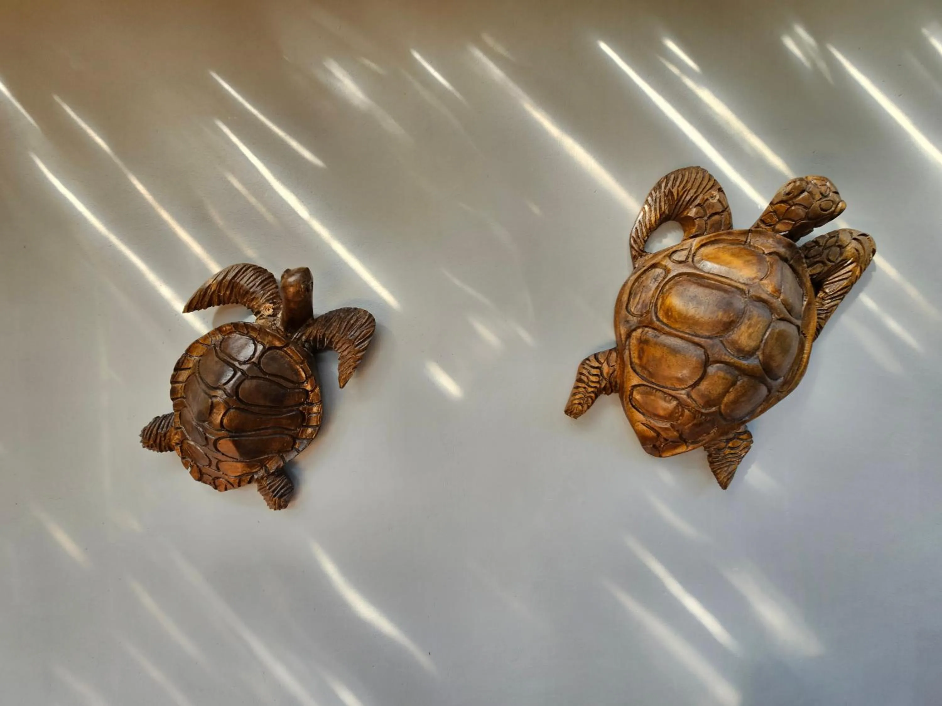 Balcony/Terrace in Leopard Corner Lodge