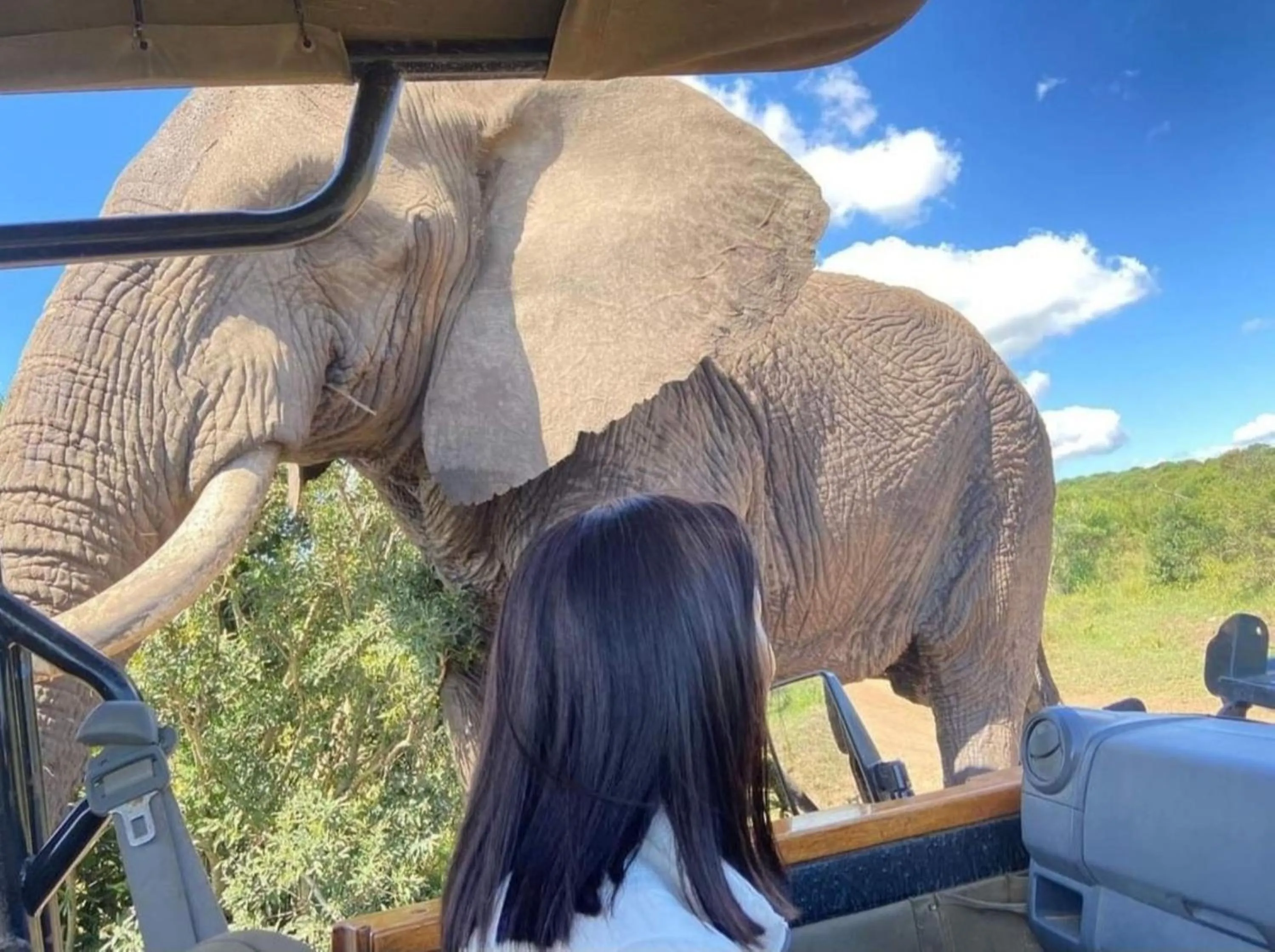 Animals in Leopard Corner Lodge