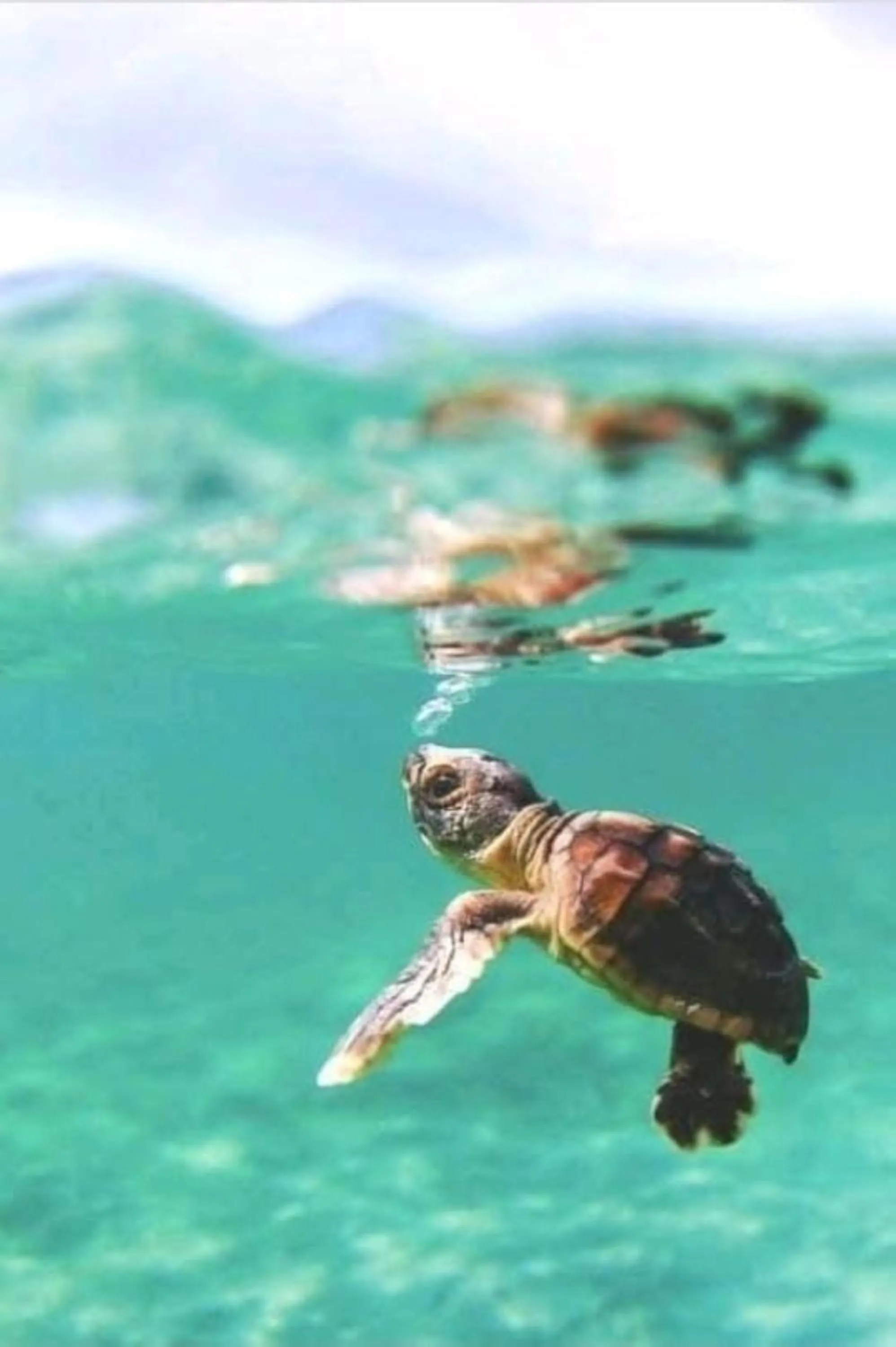 Activities in Leopard Corner Lodge