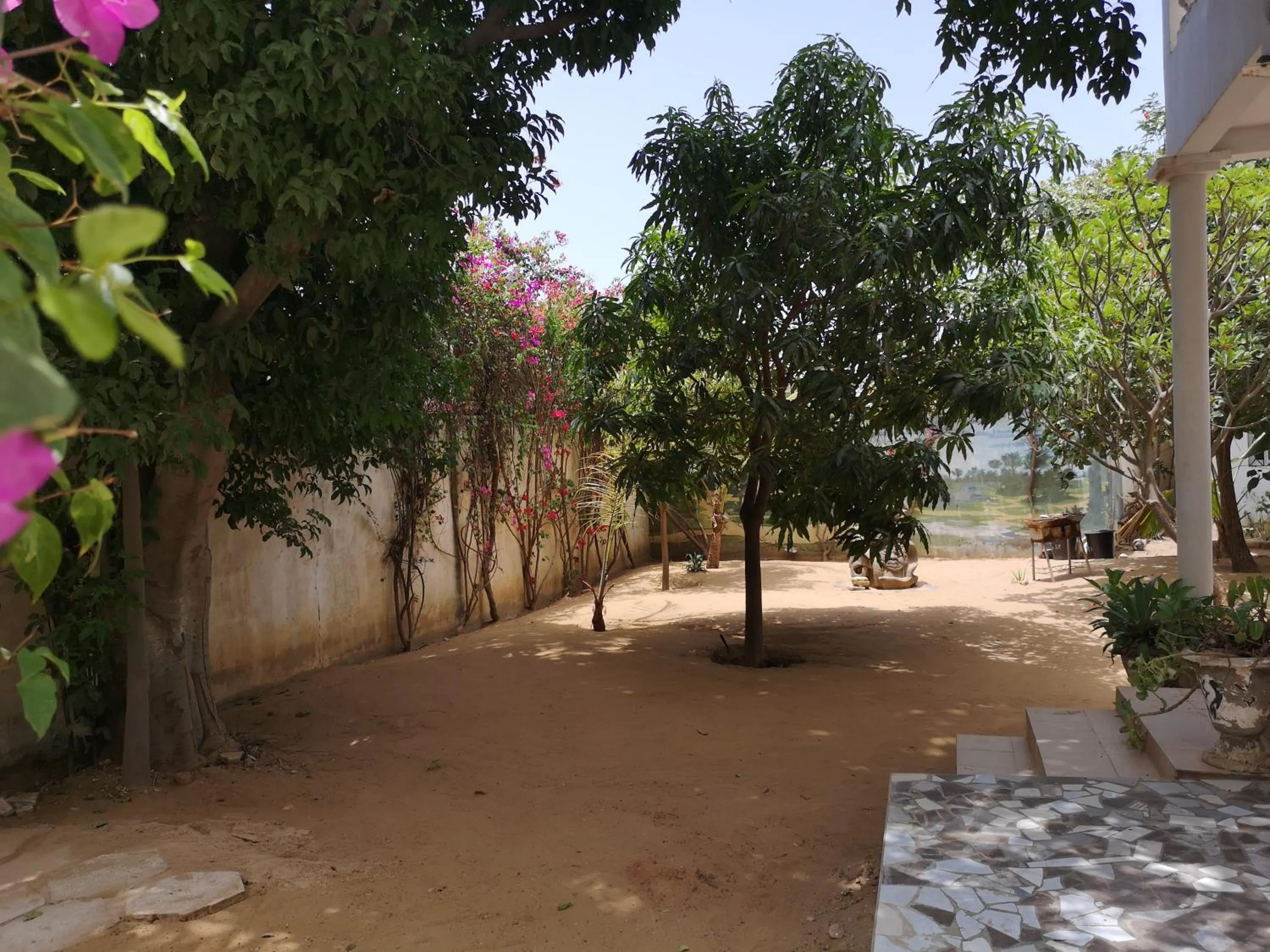 Garden in Keur Baboune