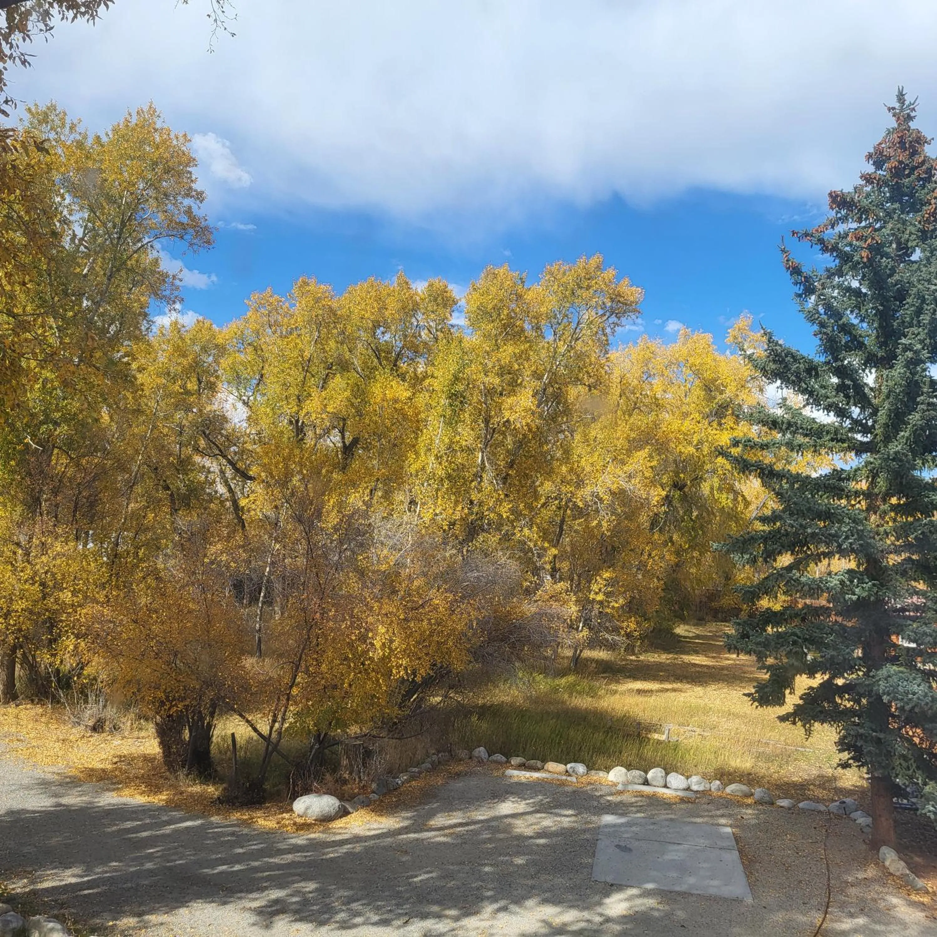 BuffaloPeaks Lodge