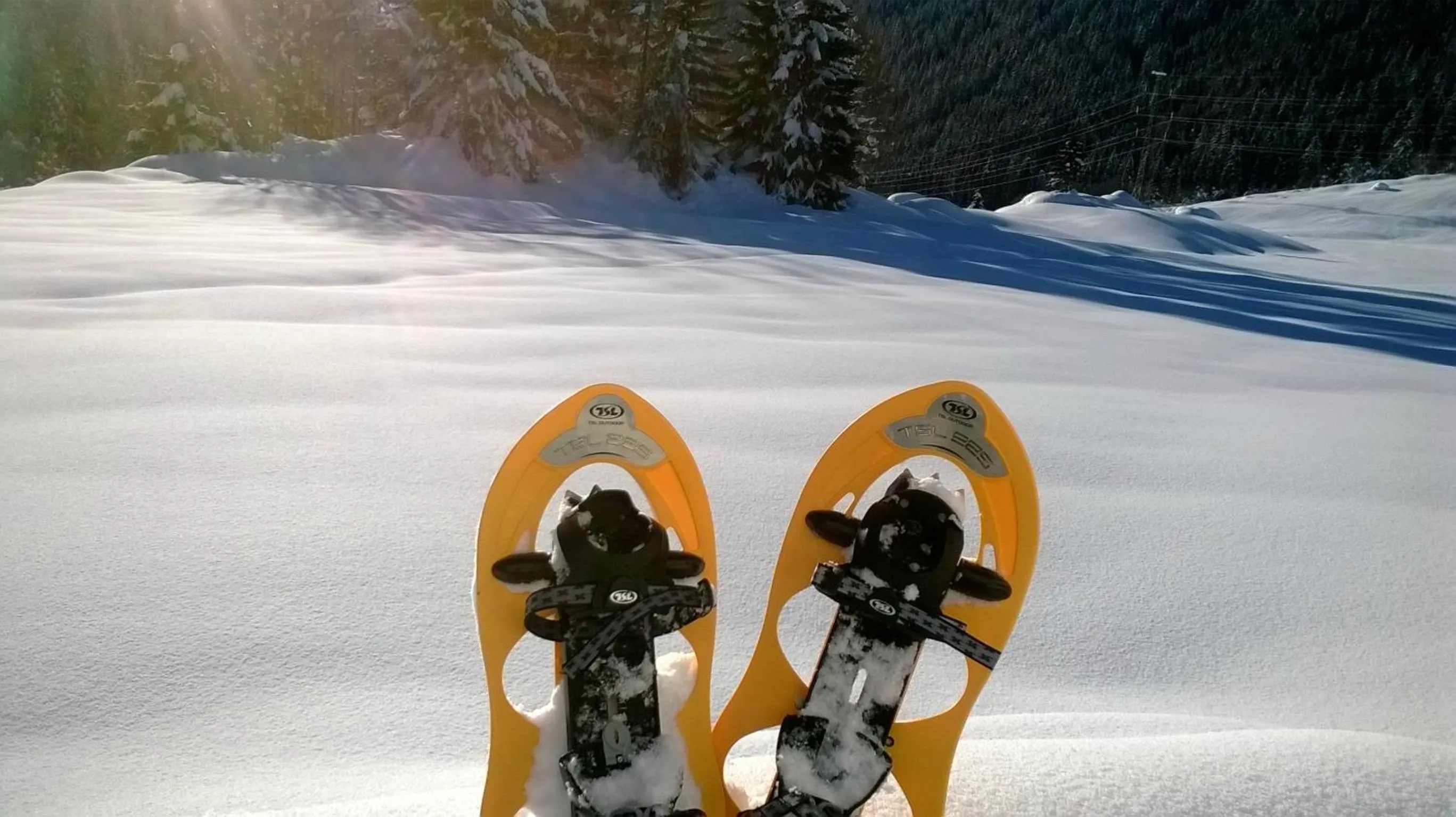 Winter in Baita Velon