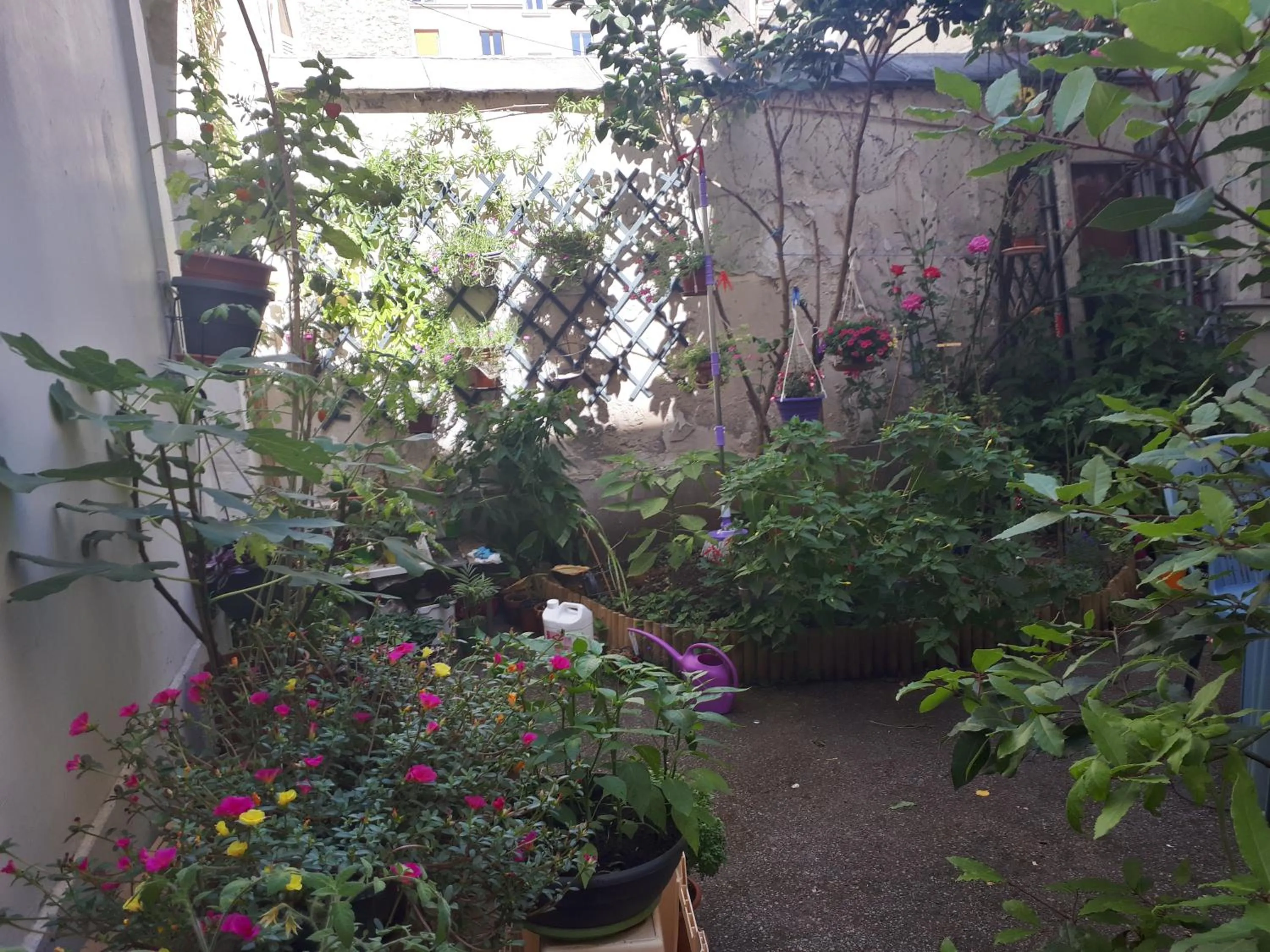 Garden in Hôtel Résidence Champerret