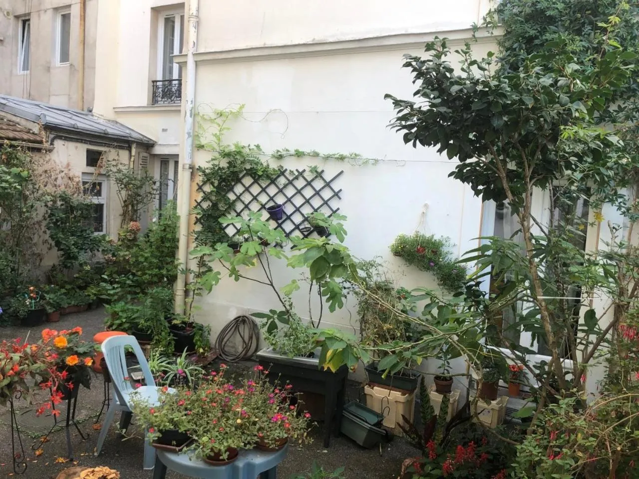 Garden view in Hôtel Résidence Champerret