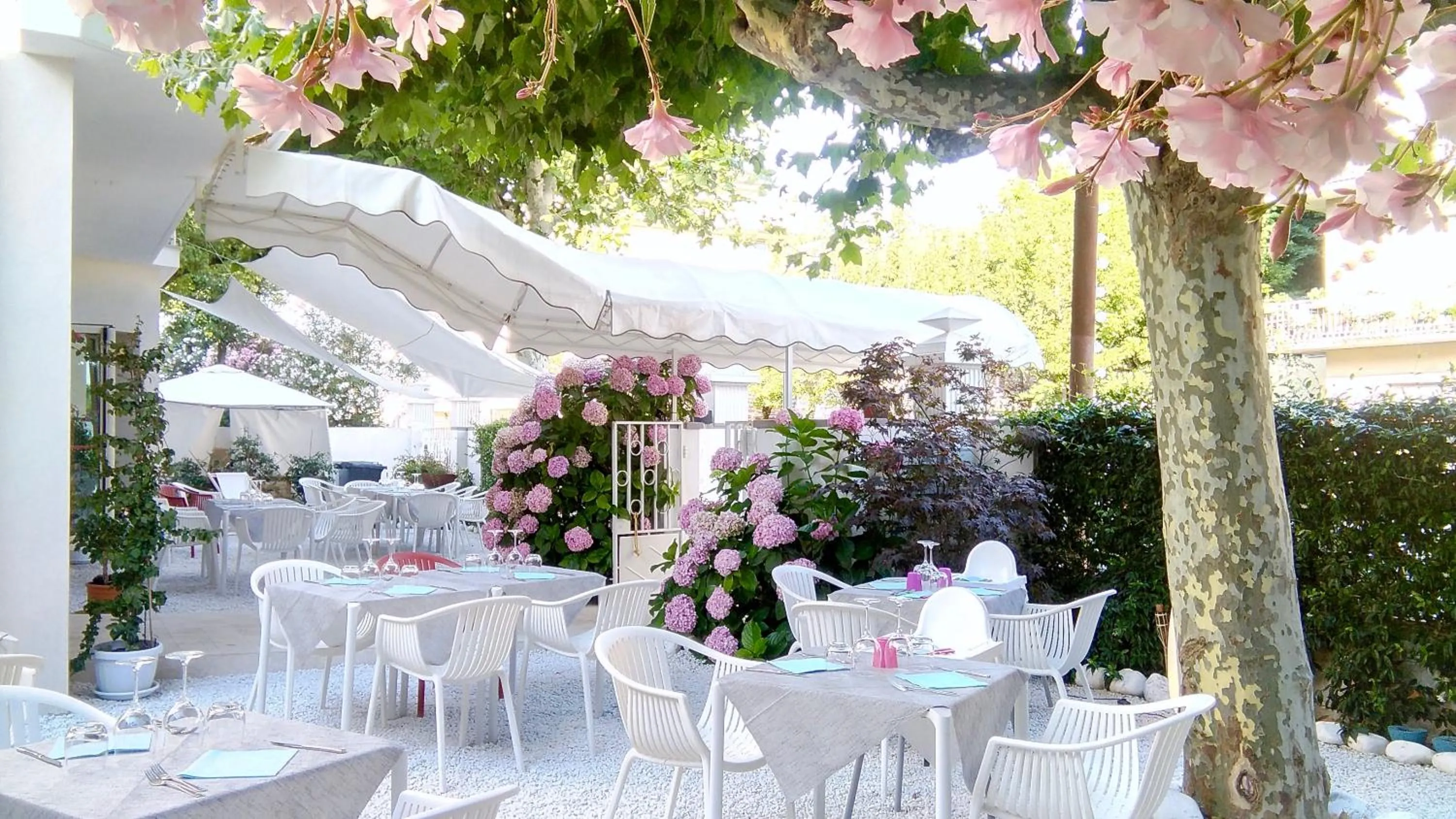 Garden in Petit Hotel