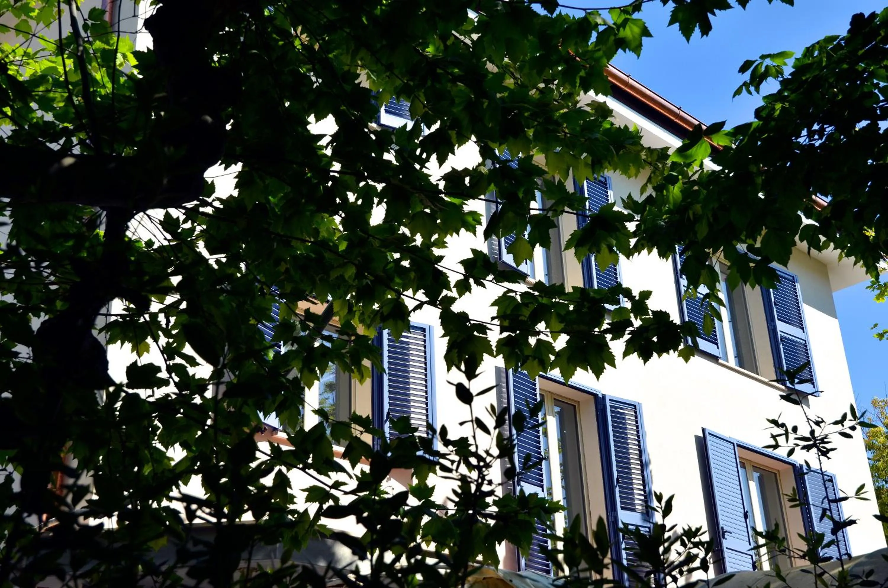 Facade/entrance in Petit Hotel
