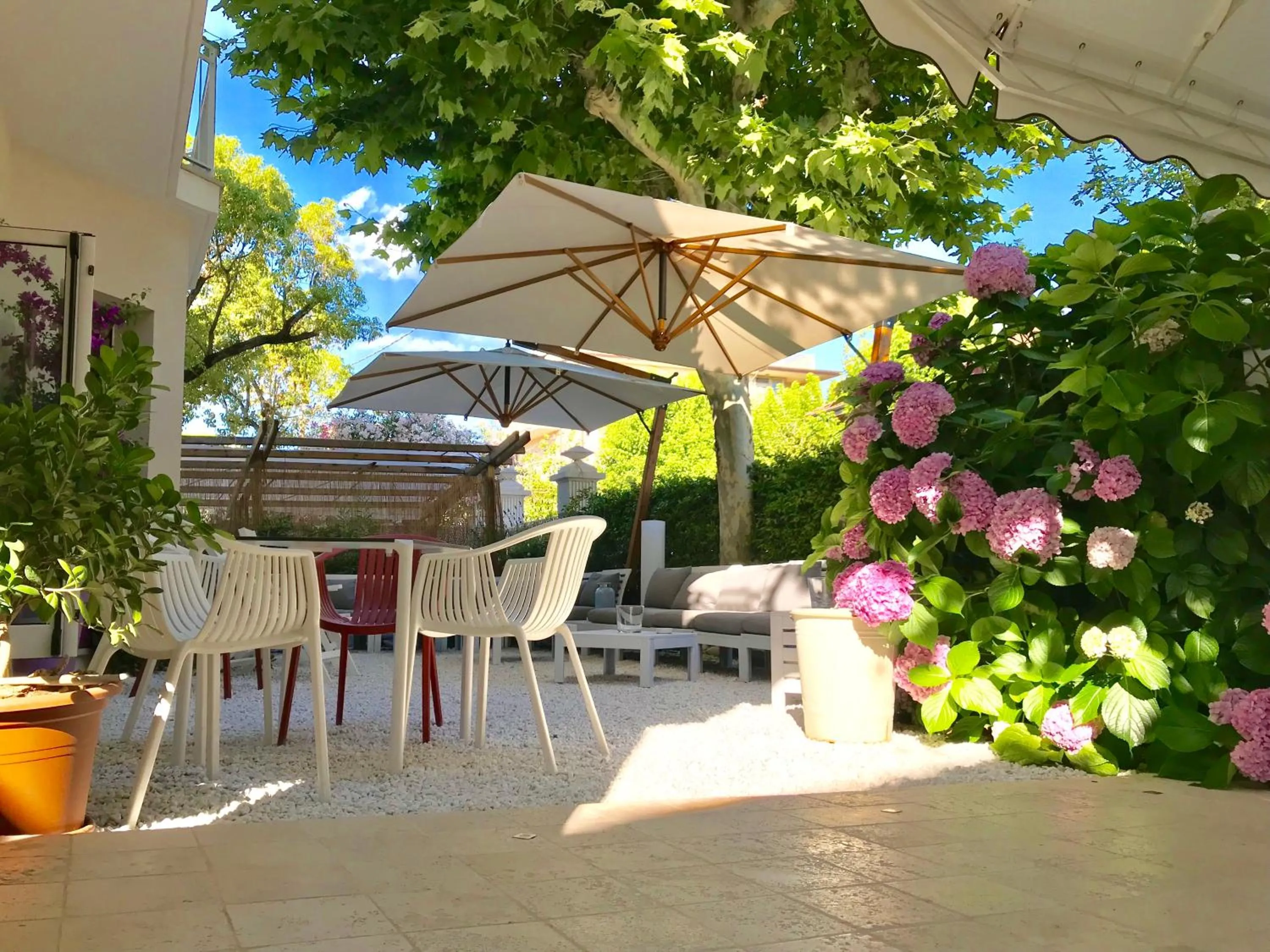 Garden in Petit Hotel