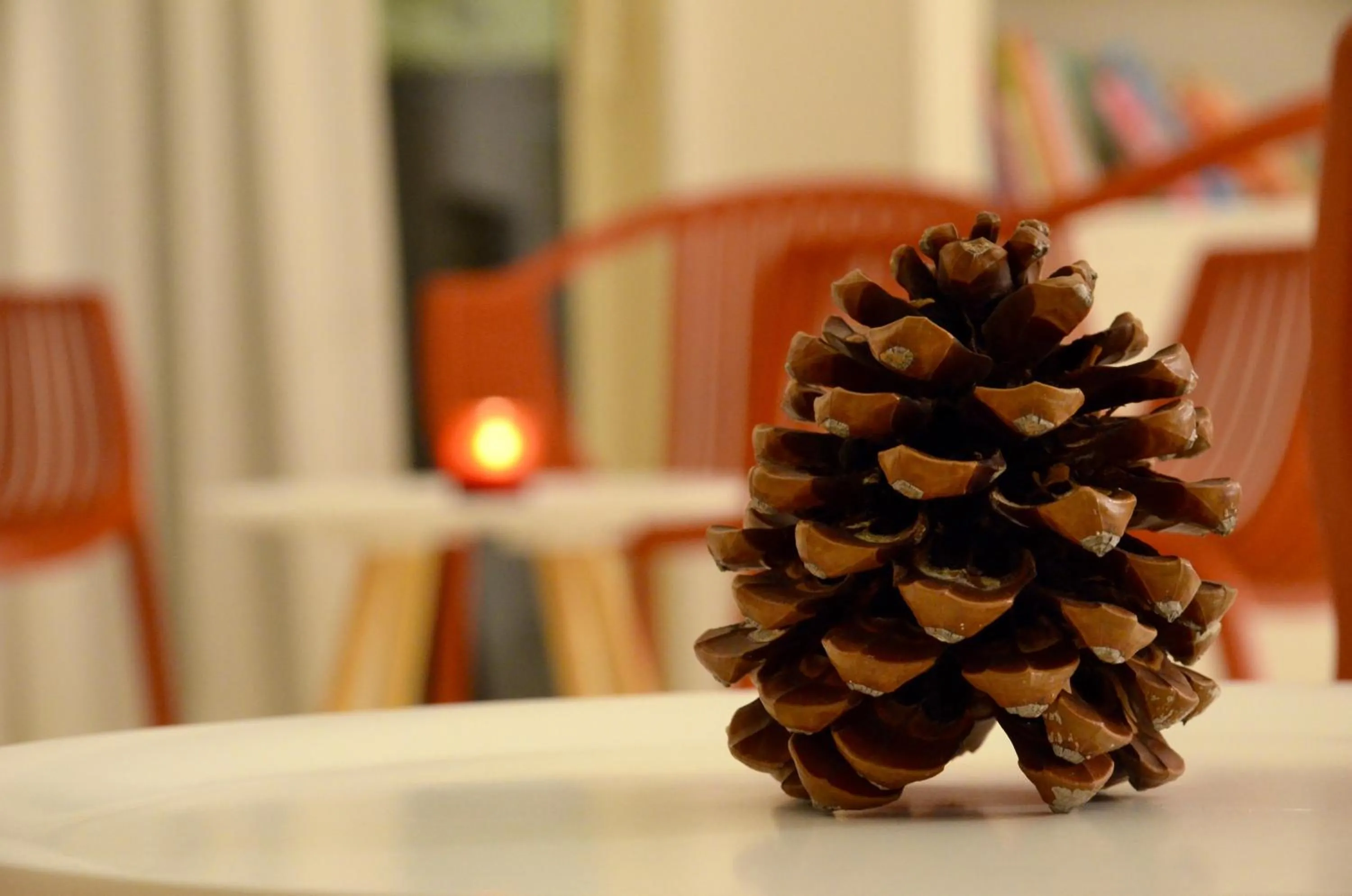 Winter in Petit Hotel