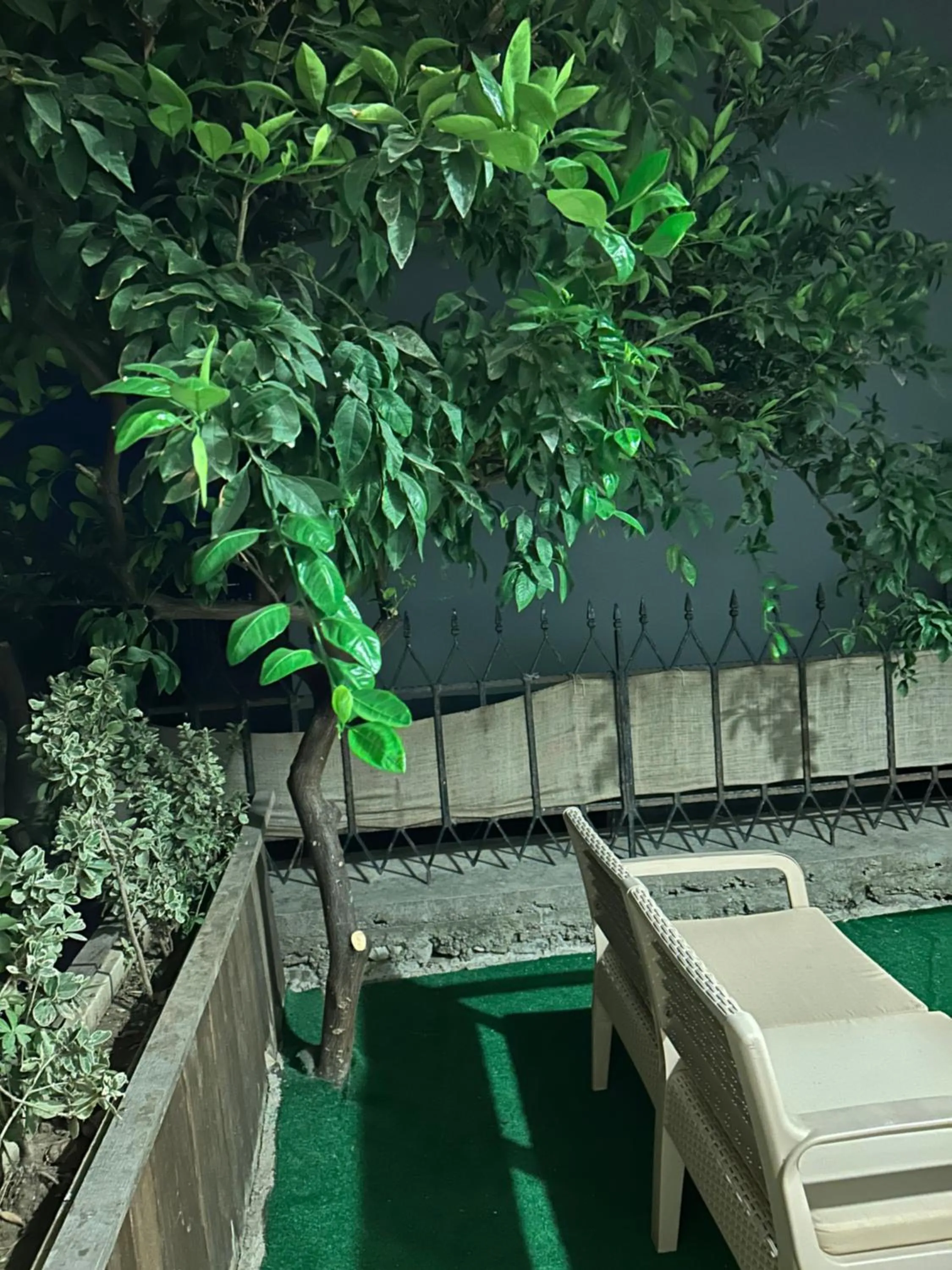 Garden in Cord Hotel & Resort