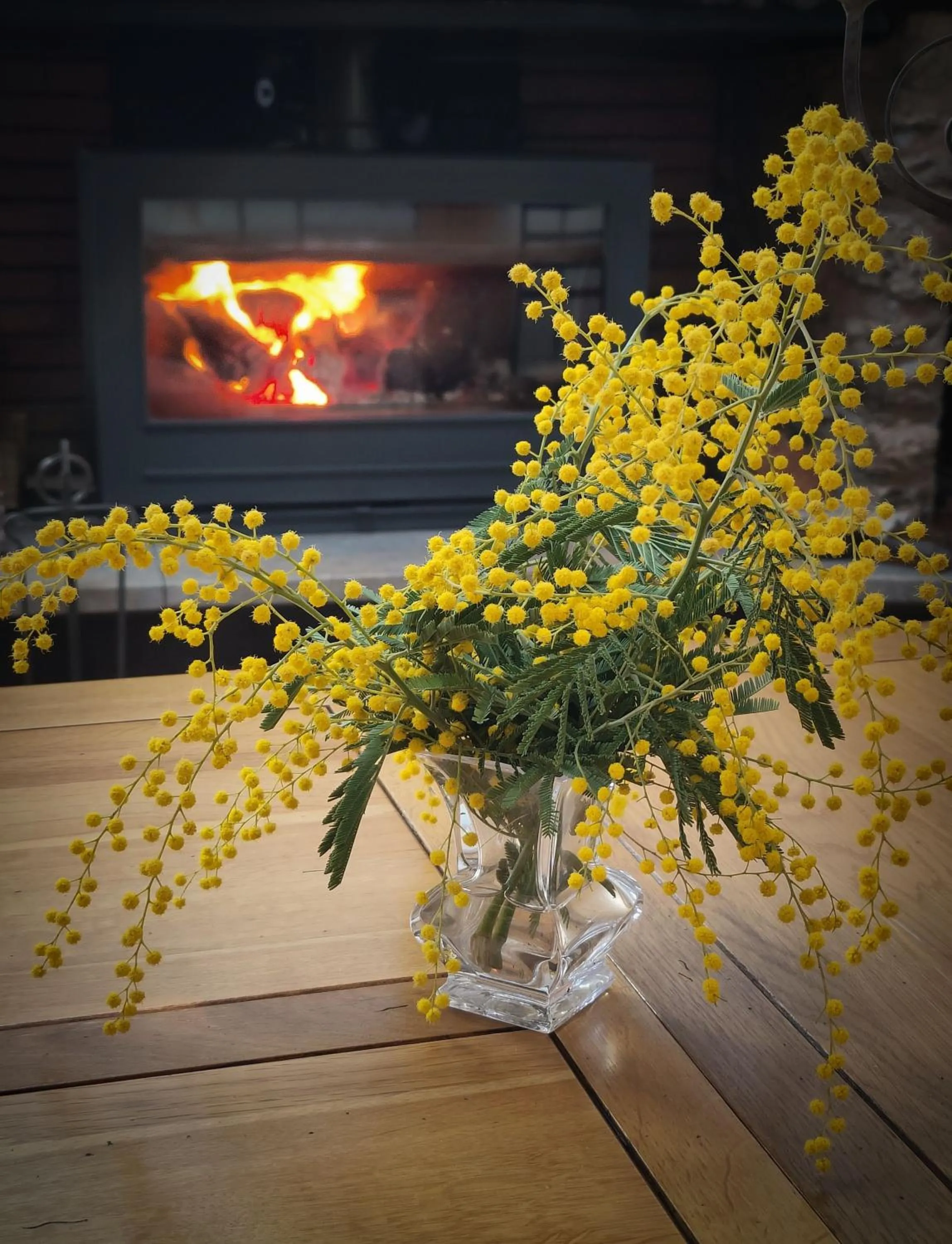 fireplace in Mas Peu Del Causse