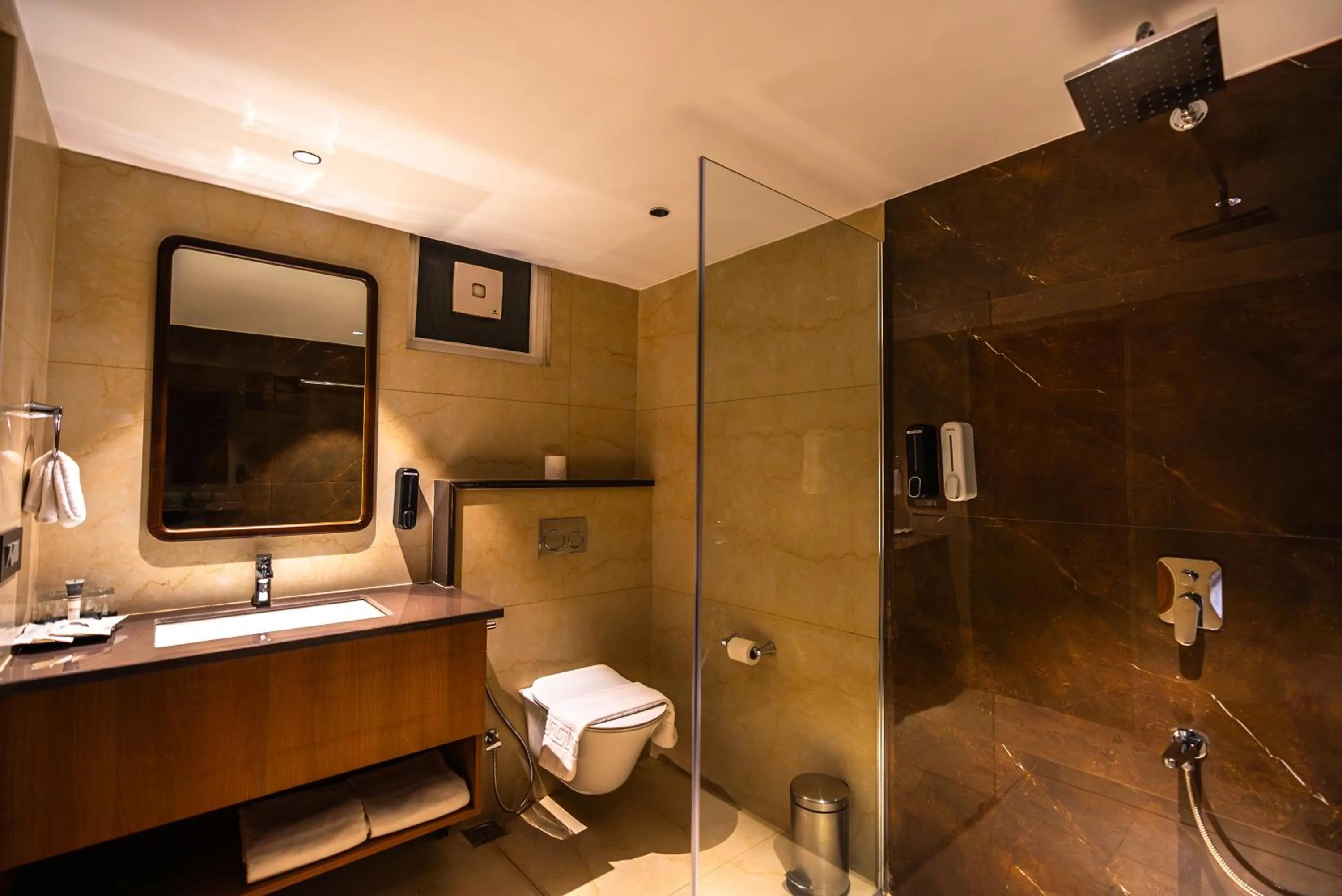 Bathroom in Clarks Inn Express, Rishikesh