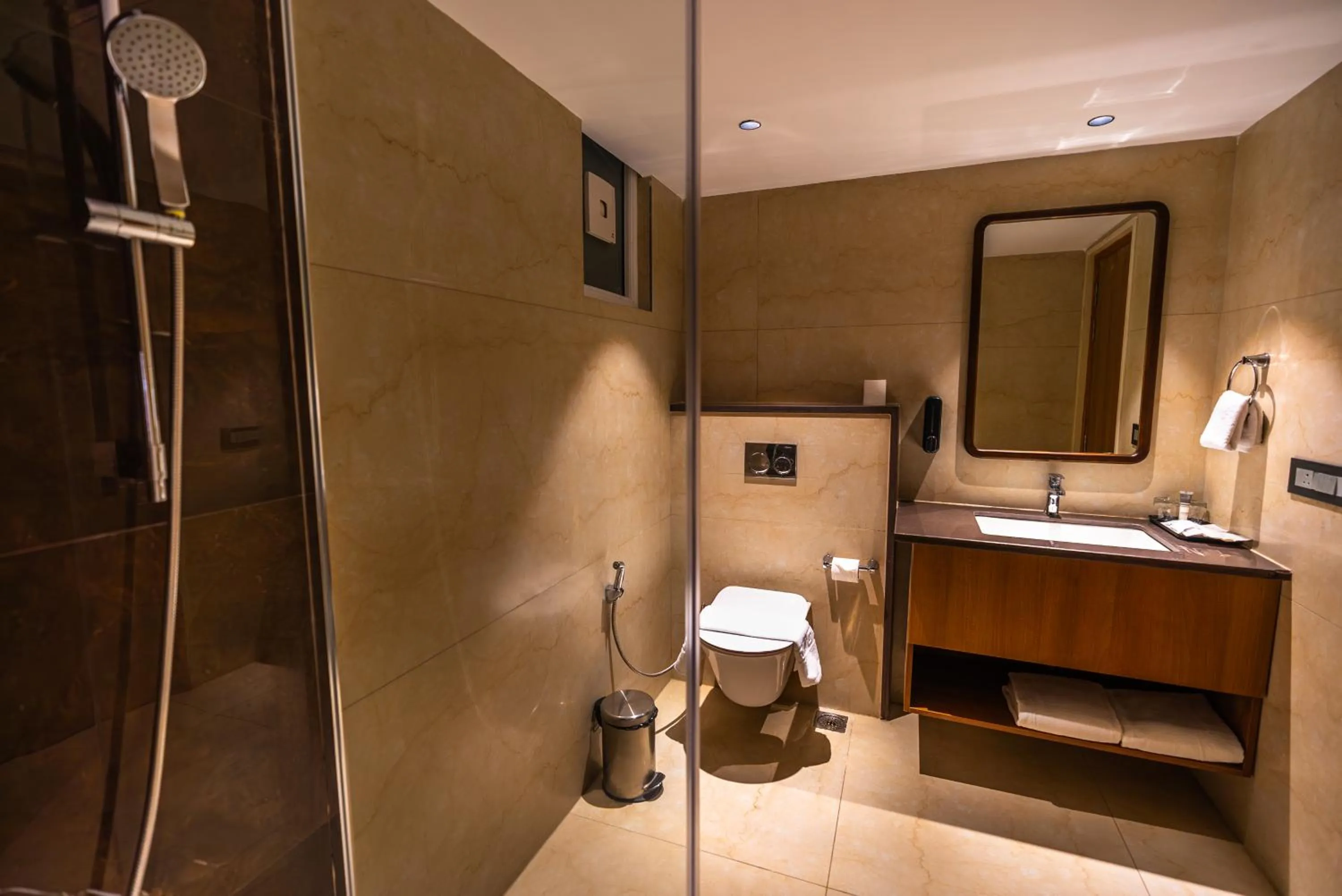 Bathroom in Clarks Inn Express, Rishikesh