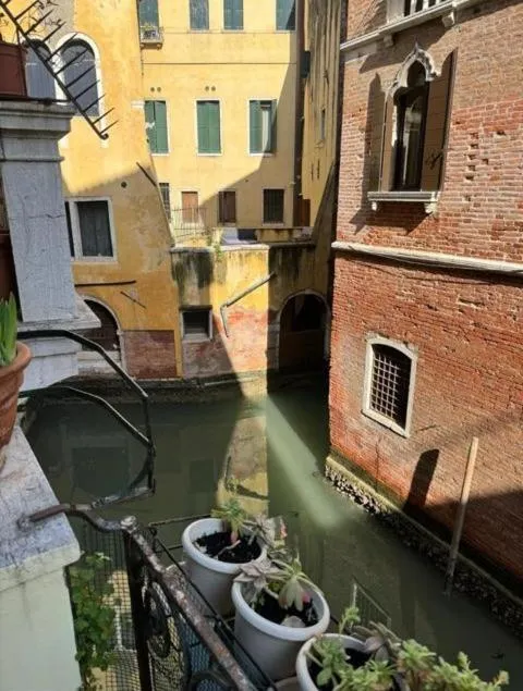 View (from property/room) in Ca' San Zaccaria