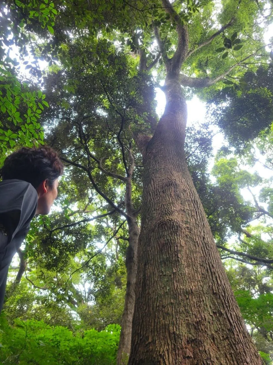 COUSCOUS Glamping Manazuru