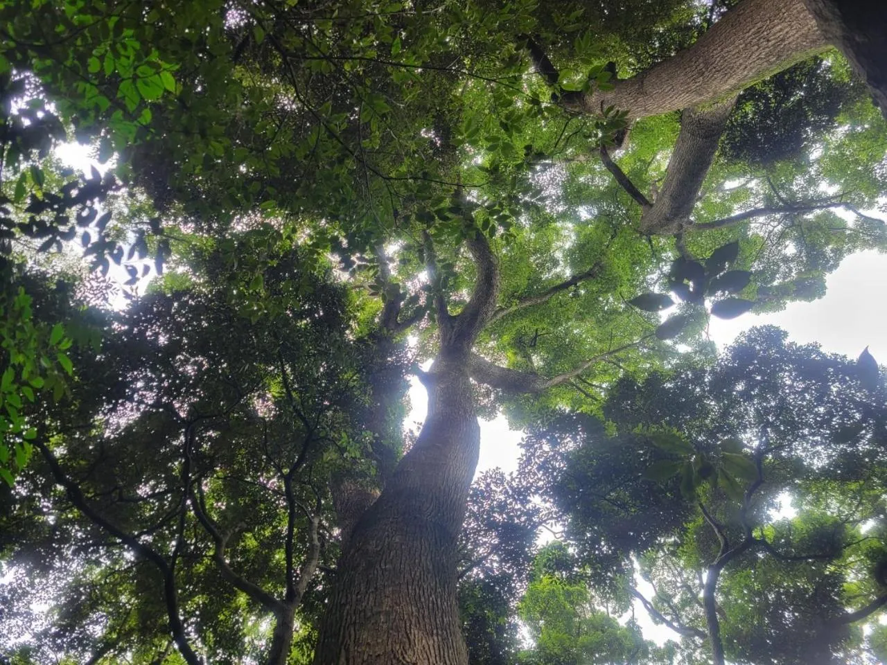 COUSCOUS Glamping Manazuru