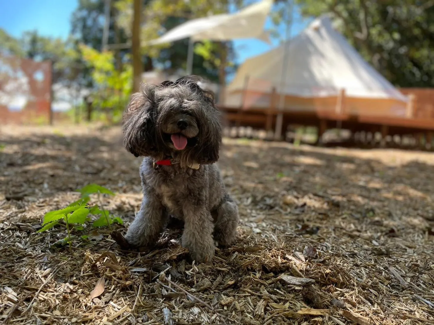 COUSCOUS Glamping Manazuru
