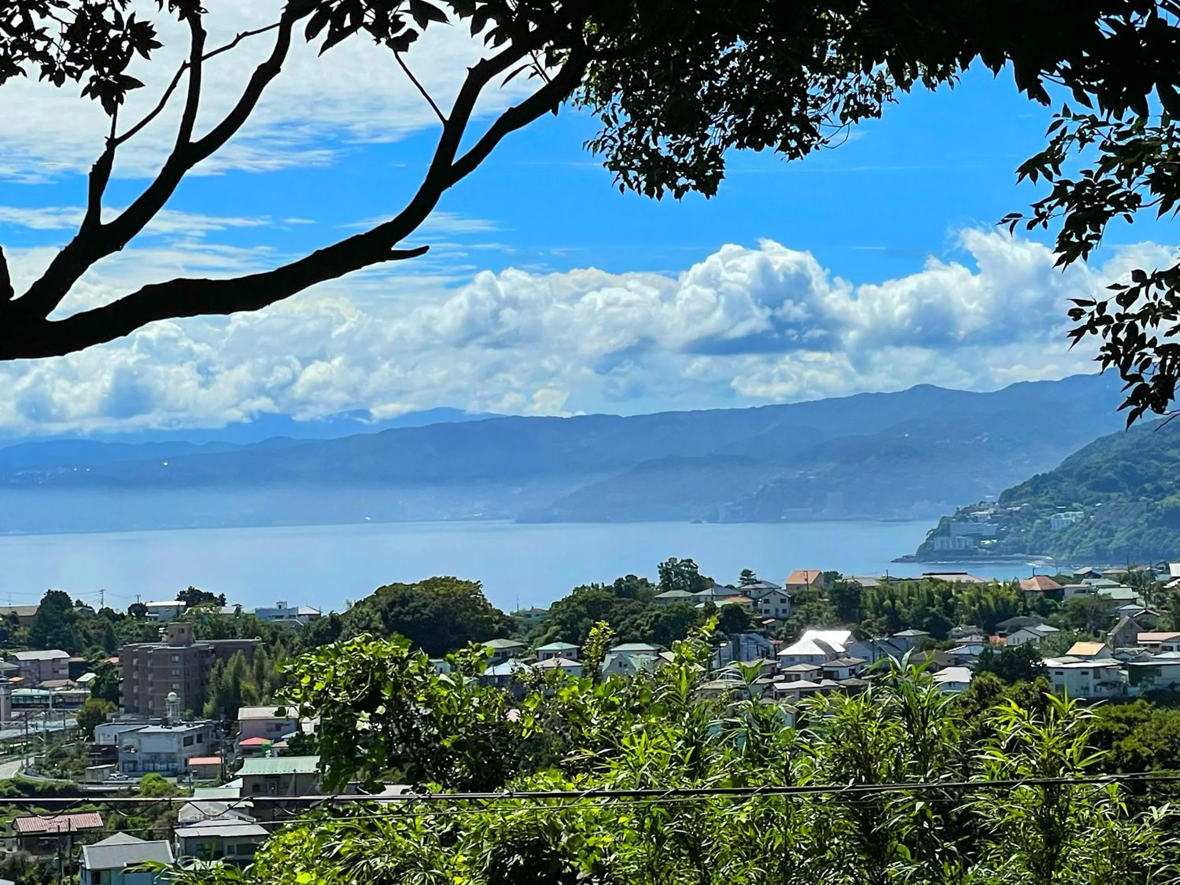 Natural landscape in COUSCOUS Glamping Manazuru