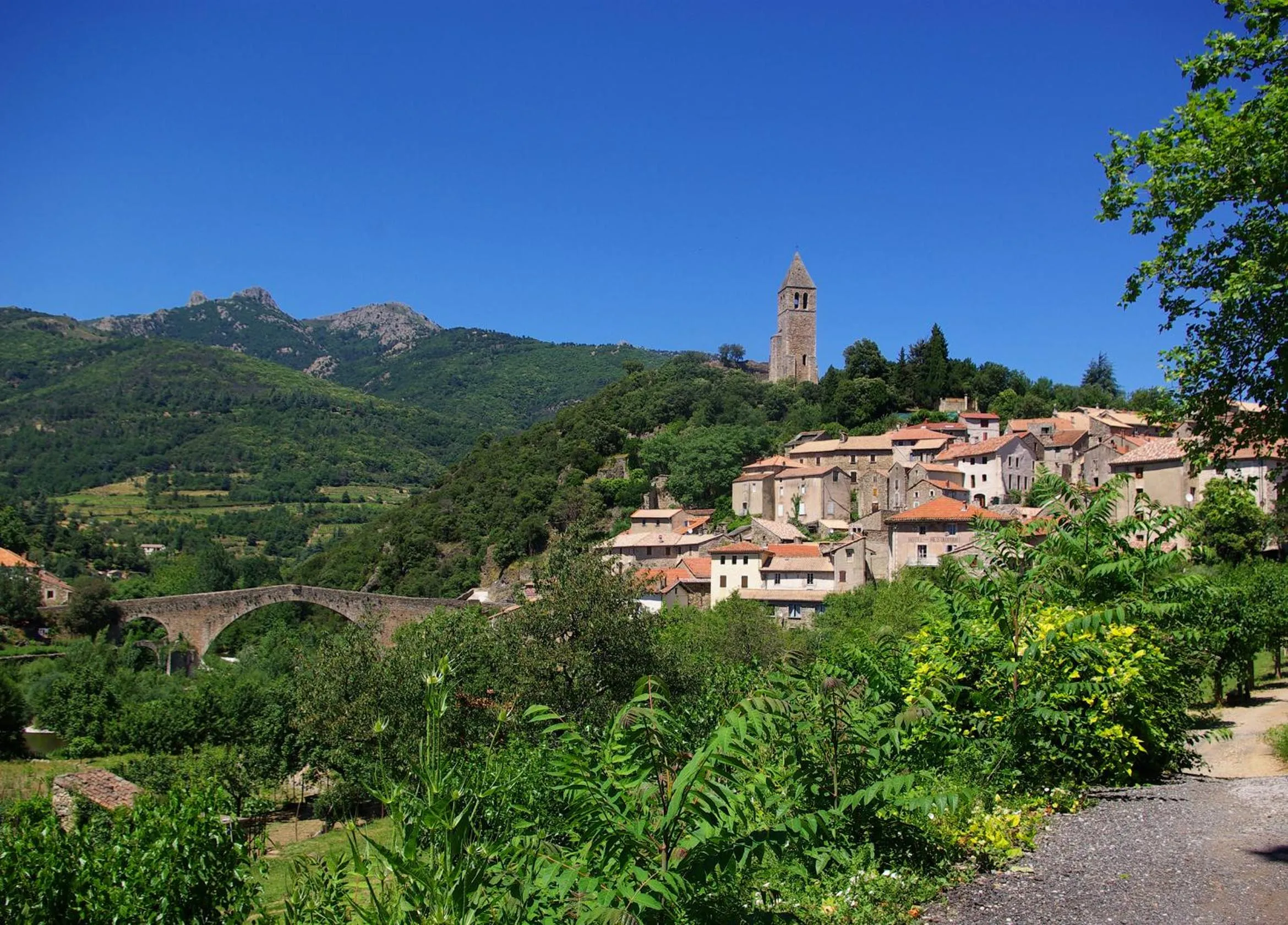 Off site in VVF Montagnac Hérault
