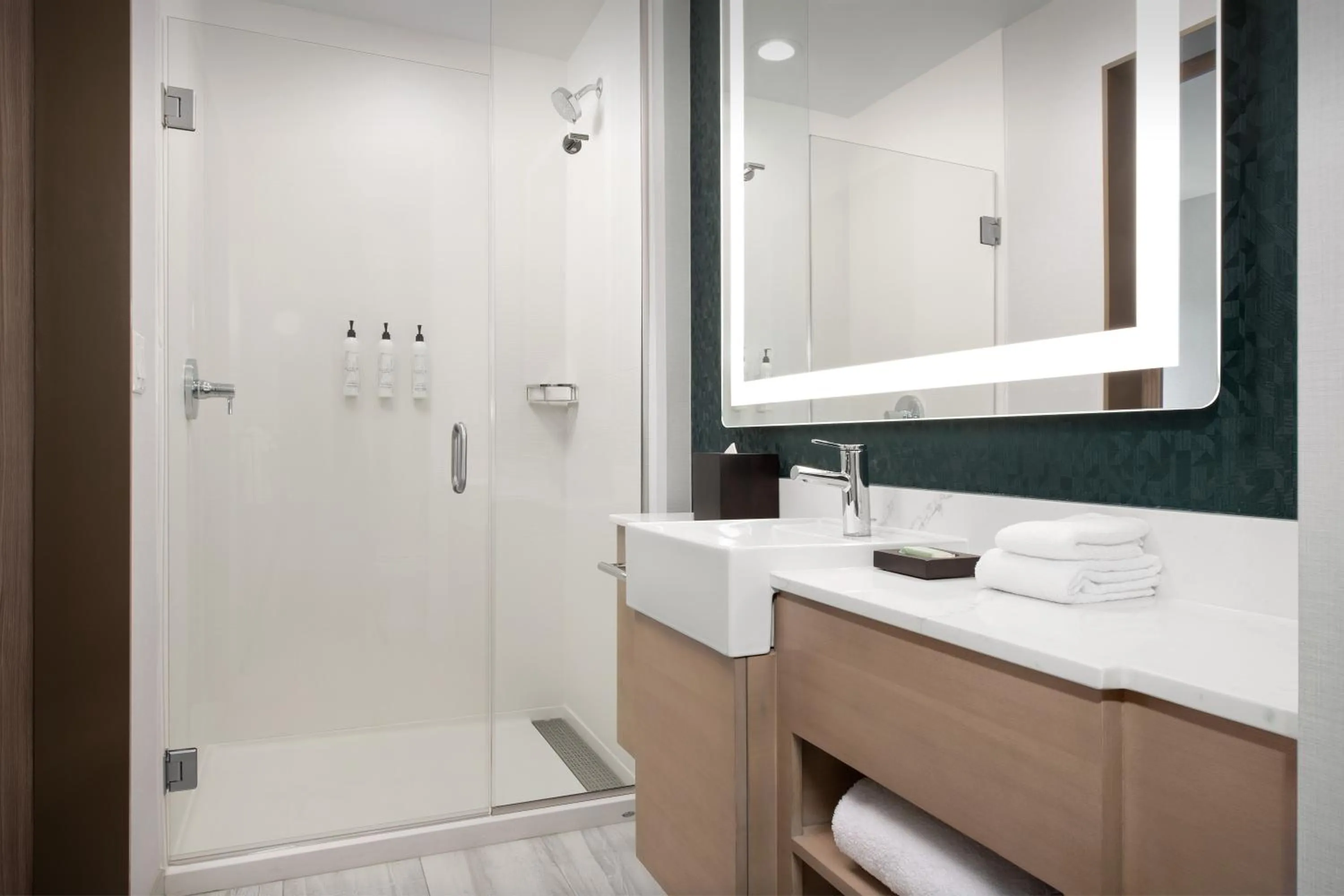 Bathroom in SpringHill Suites by Marriott Sandpoint