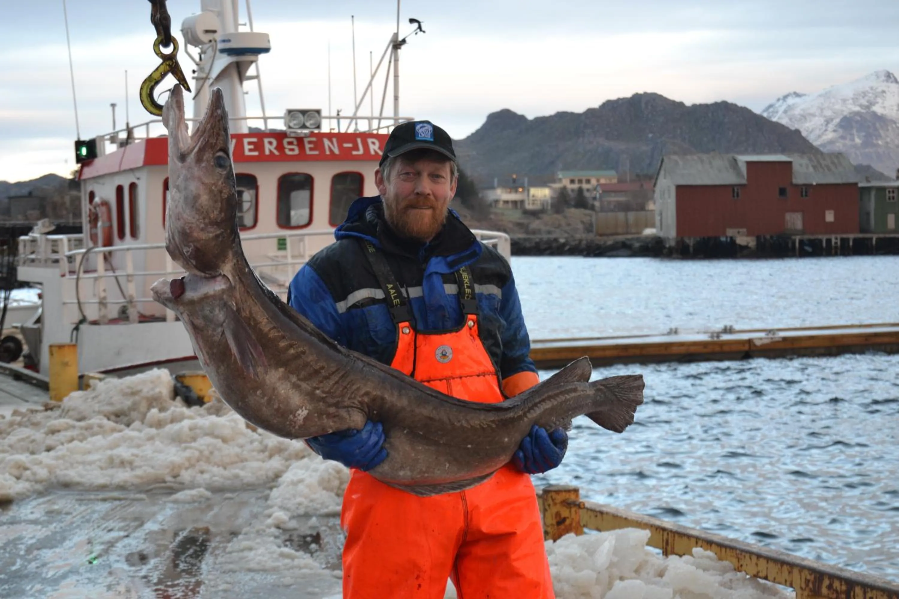 Winter in Sjøstrand Rorbuer